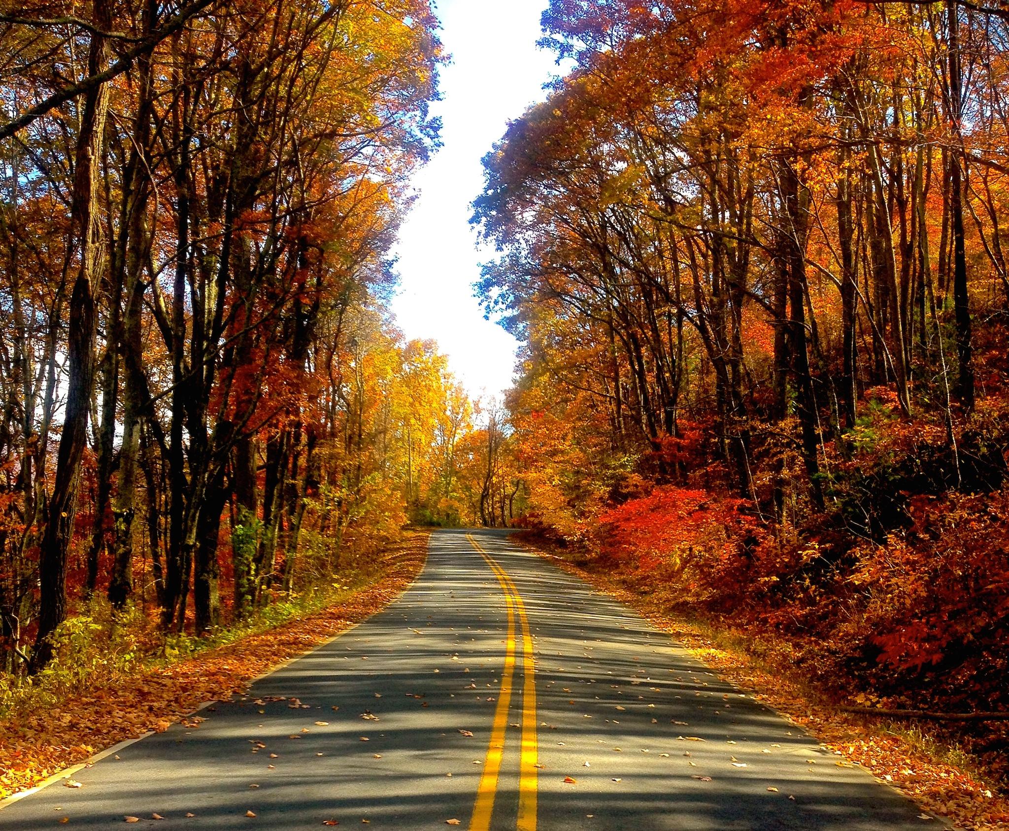 2048x1686 Autumn Road HD Wallpaper. Free Autumn Downloads