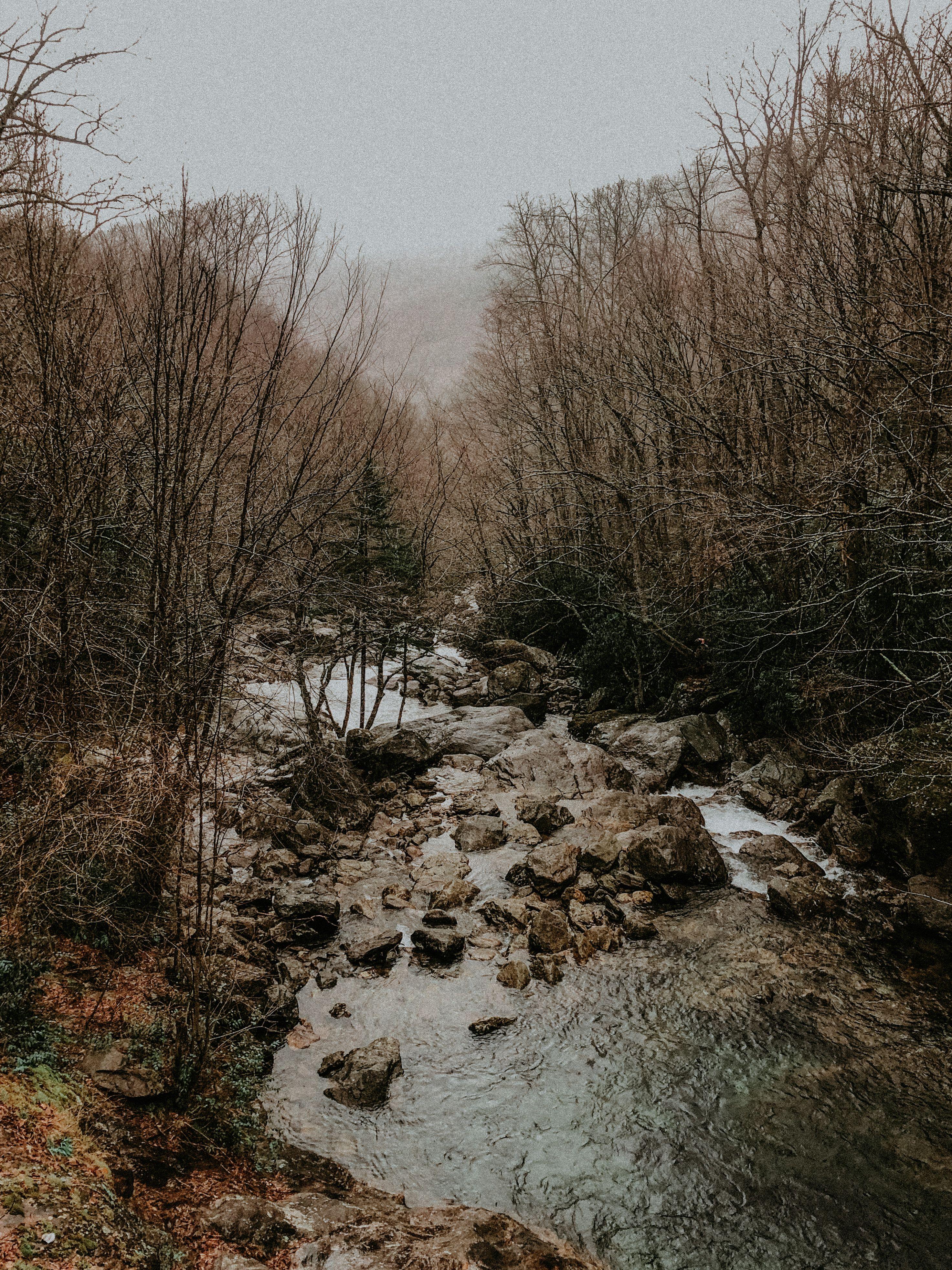 2946x3928 I moved to Asheville, NC. North carolina vacation spots, North carolina vacations, Photography north carolina