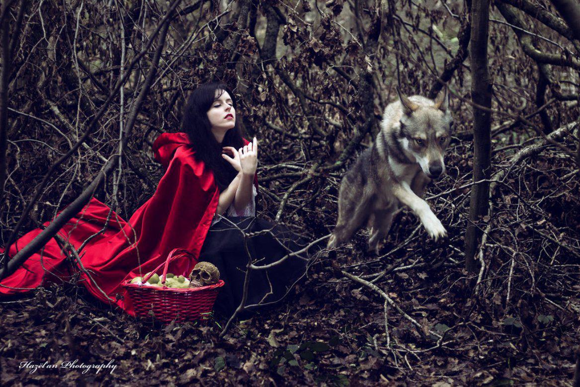 1167x779 Free download LITTLE RED RIDING HOOD WALLPAPER 107417 HD Wallpaper [1167x779] for your Desktop, Mobile & Tablet. Explore Little Red Riding Hood Wallpaper. The Red Hood Wallpaper, Red Riding Hood Wallpaper