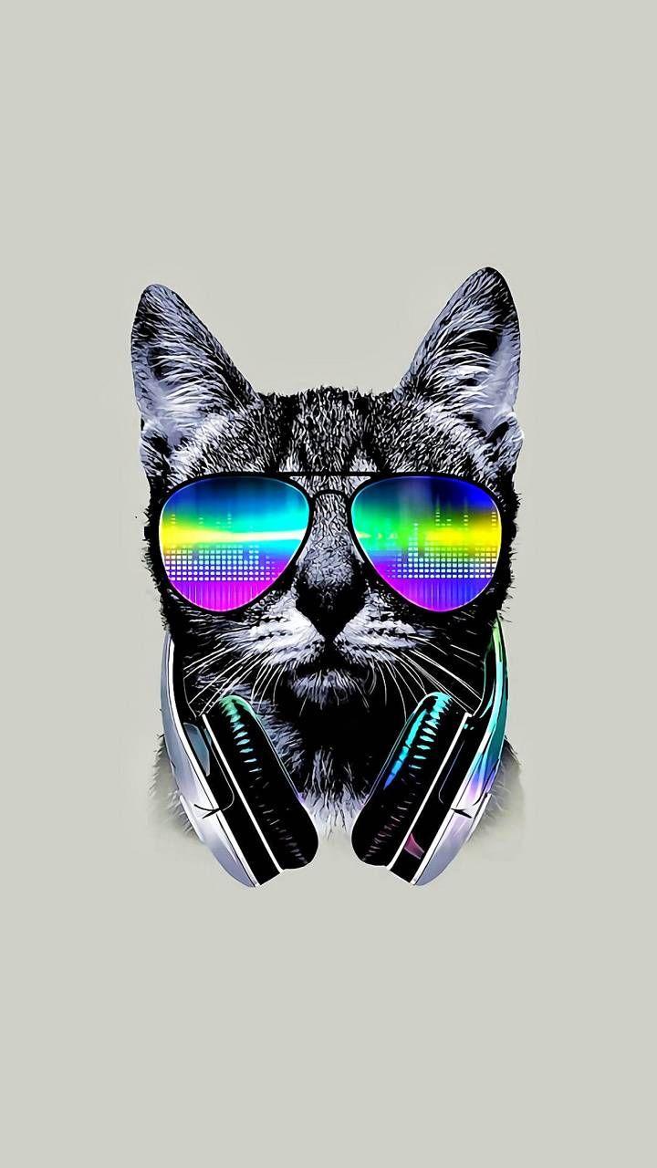 720x1280 Download Cool Cat Wallpaper by MacAC12897 now. Browse millions of popular cat Wallpaper. Cat wallpaper, Music wallpaper, Graffiti wallpaper