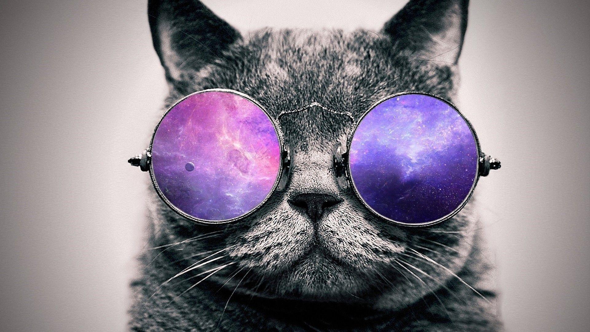 1920x1080 Cool Cats Wallpaper background picture