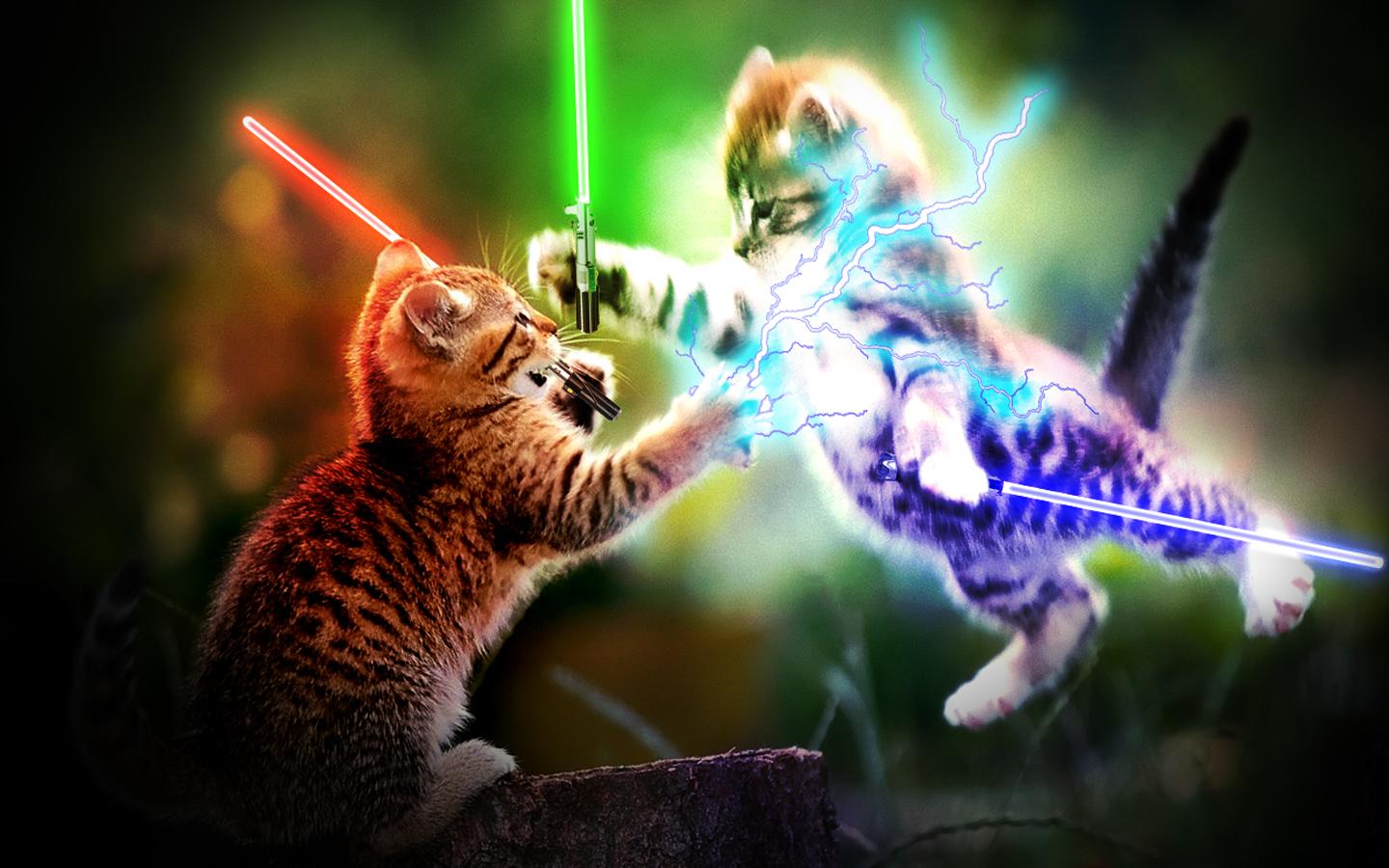 1440x900 Cat Wallpaper and Background Imagex900
