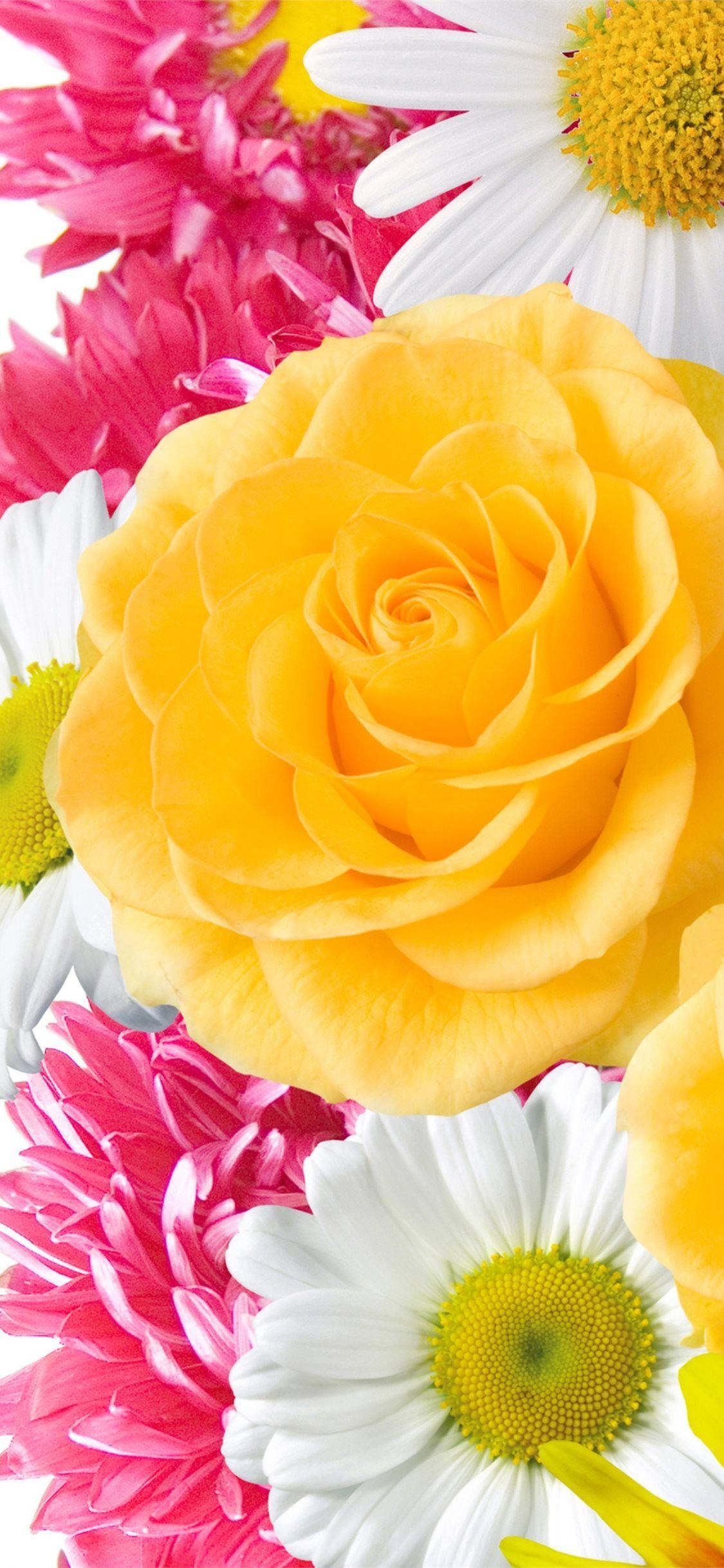 1125x2436 Yellow Flowers High Quality Resolution gt Yodobi #springiphone #trends #iPhone11Wallpaper. Flower iphone wallpaper, Flower wallpaper, Yellow flower wallpaper