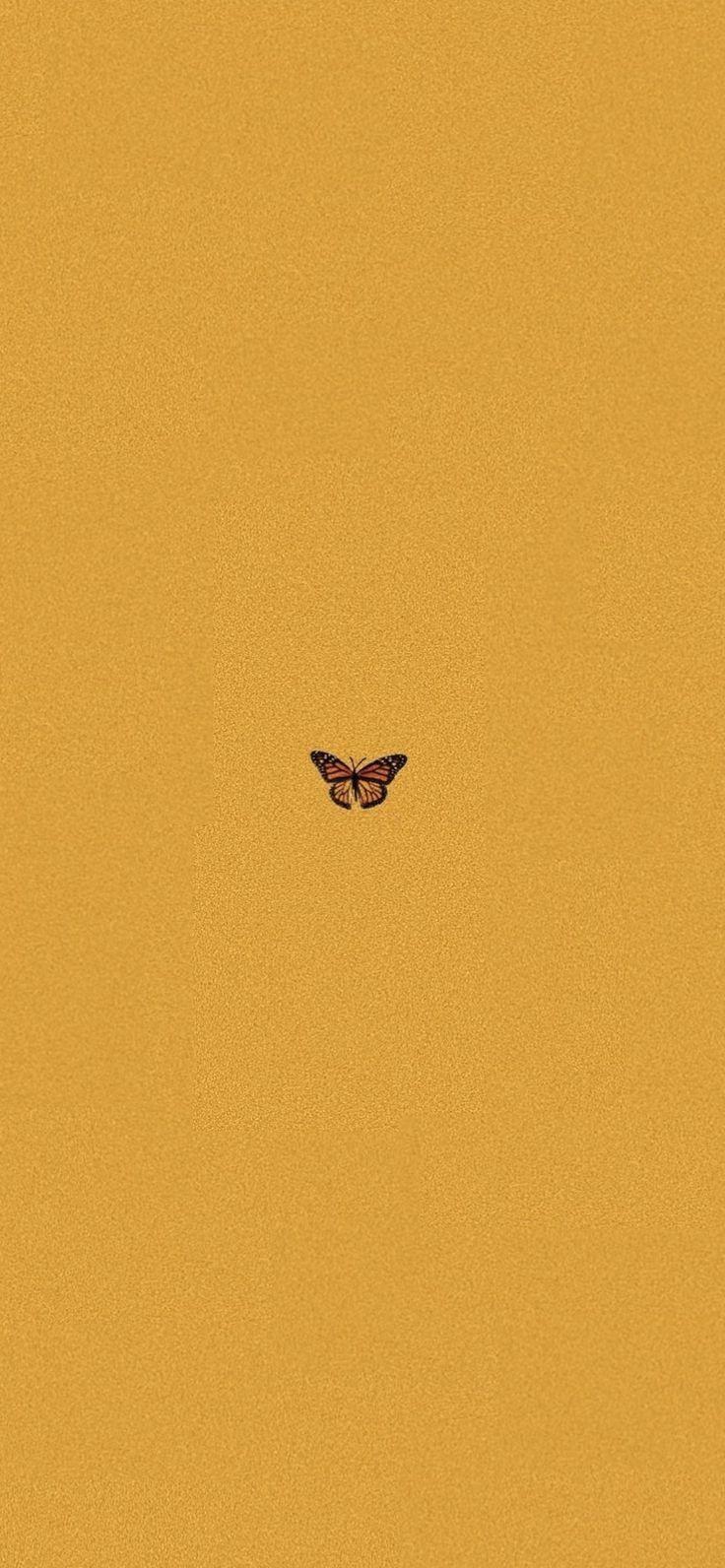 736x1592 Buy Amzn.to 31eDJmn Wallpaper, Yellow Aesthetic Butterfly IPhone X - #Aestheti. IPhone Wallpaper Yellow, Simple Iphone Wallpaper, IPhone Wallpaper Vintage