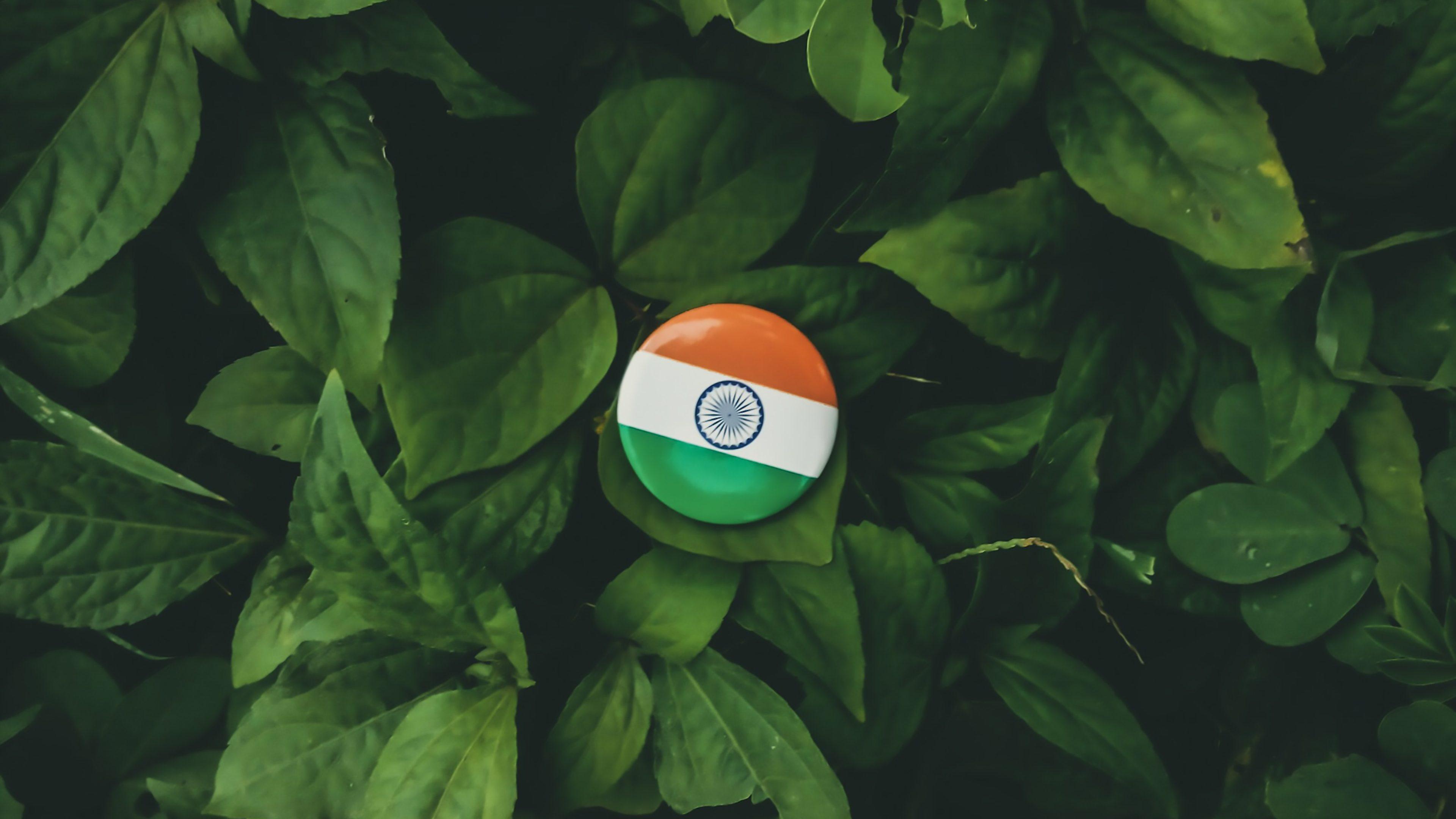 3840x2160 on a leaves indian flag batch in 3840x2160p 4k