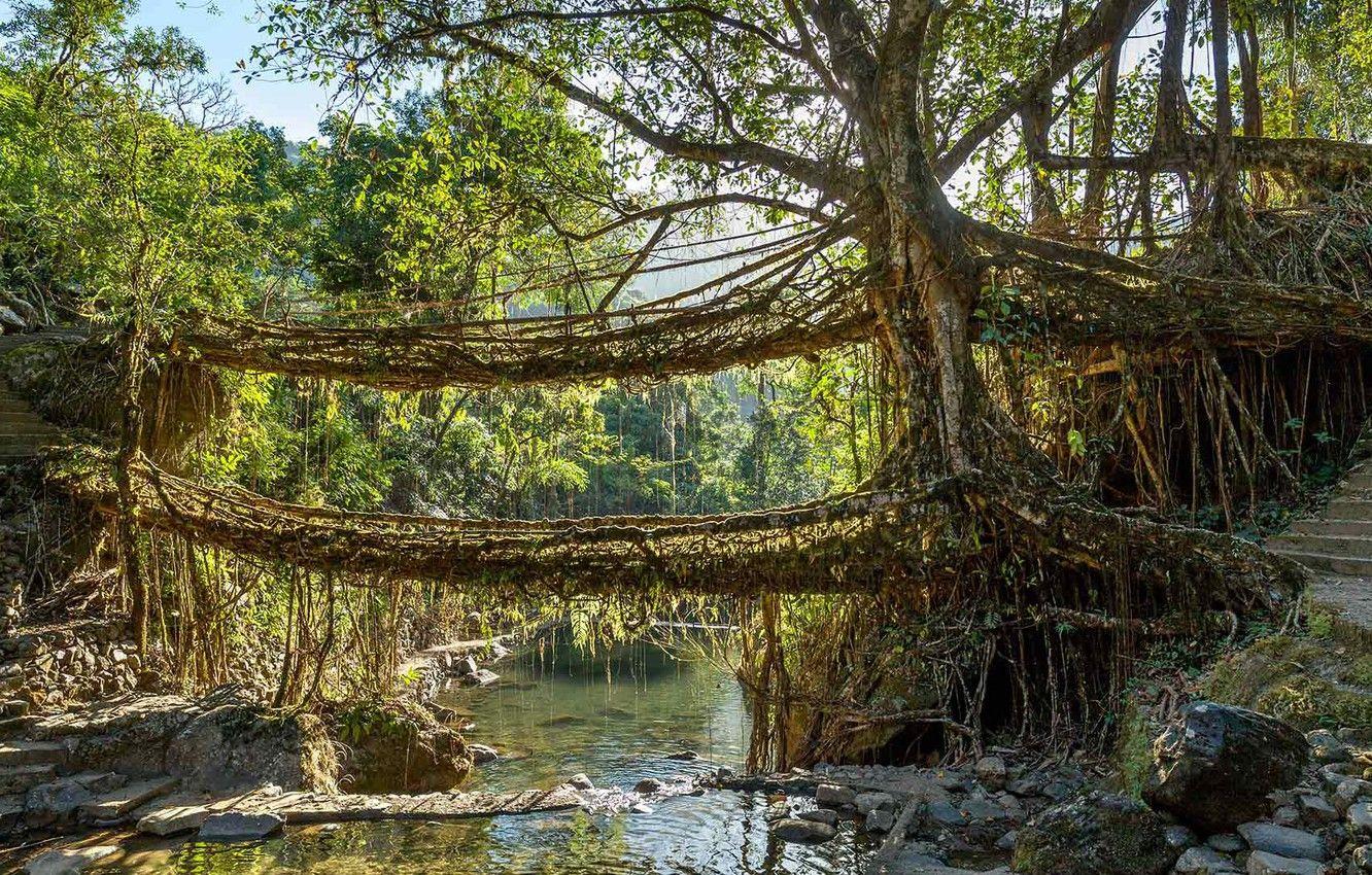 1332x850 Meghalaya Wallpaper