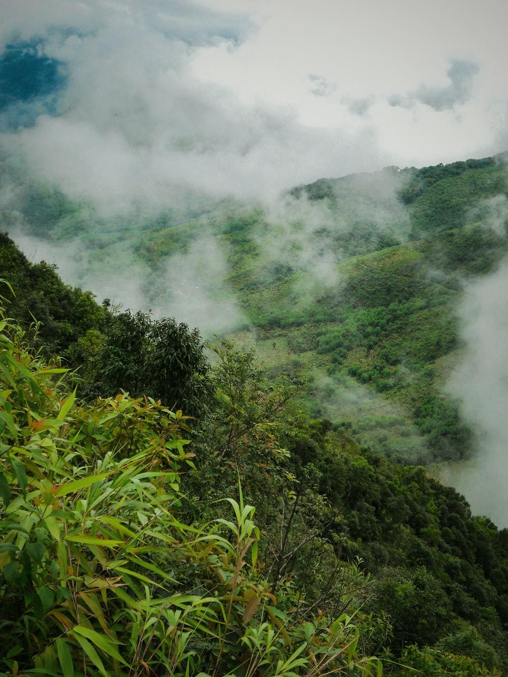 1000x1333 Meghalaya Picture. Download Free Image