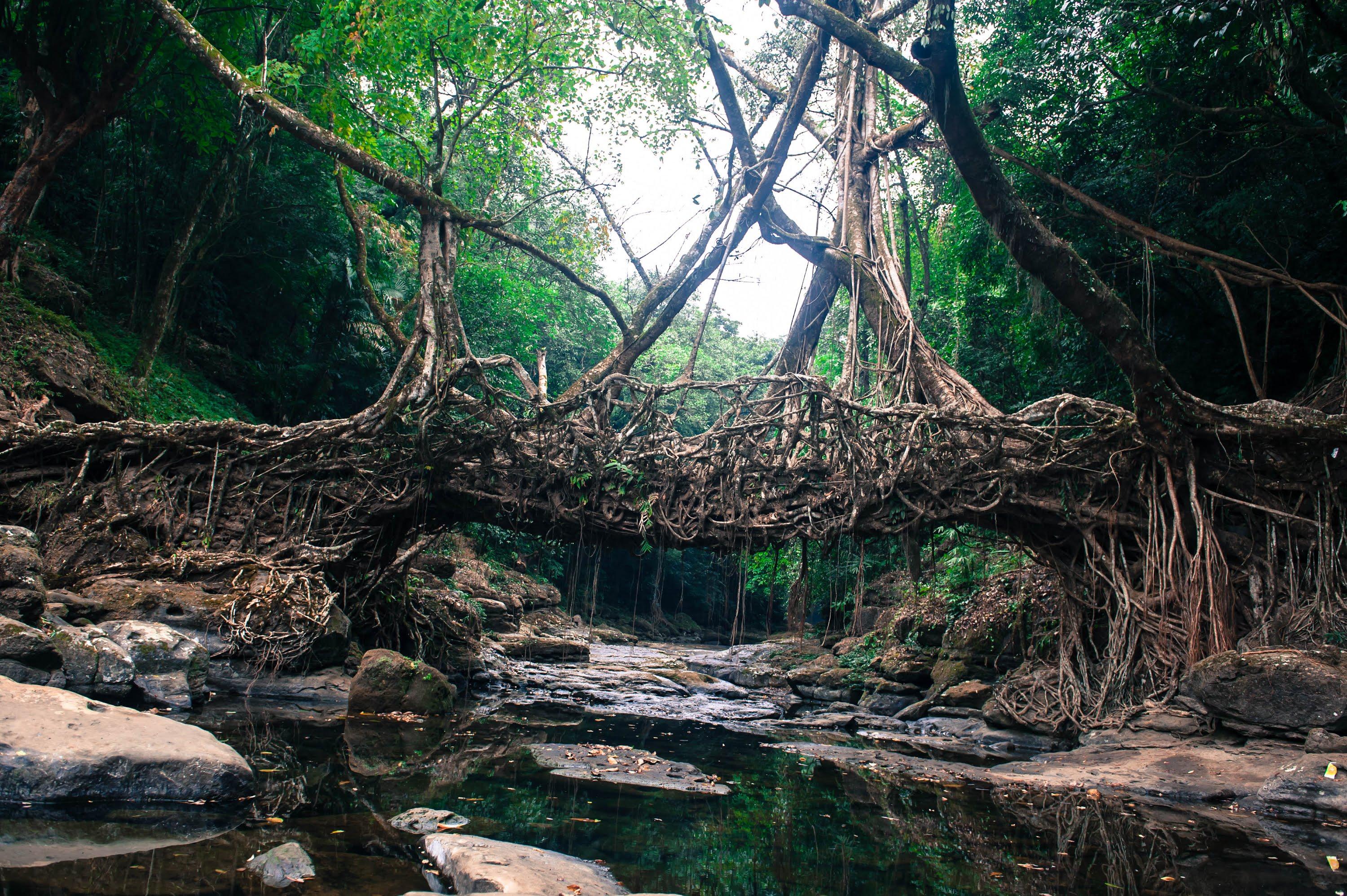 3000x1996 Meghalaya Wallpaper