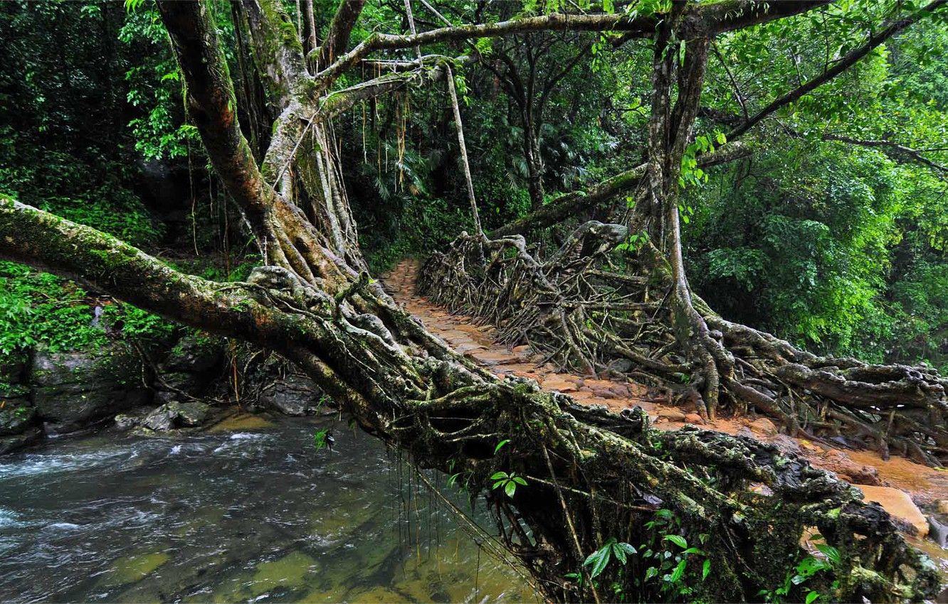1332x850 Meghalaya Wallpaper