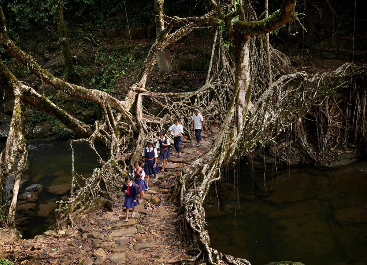 1200x868 Meghalaya: The Wettest Place on Earth