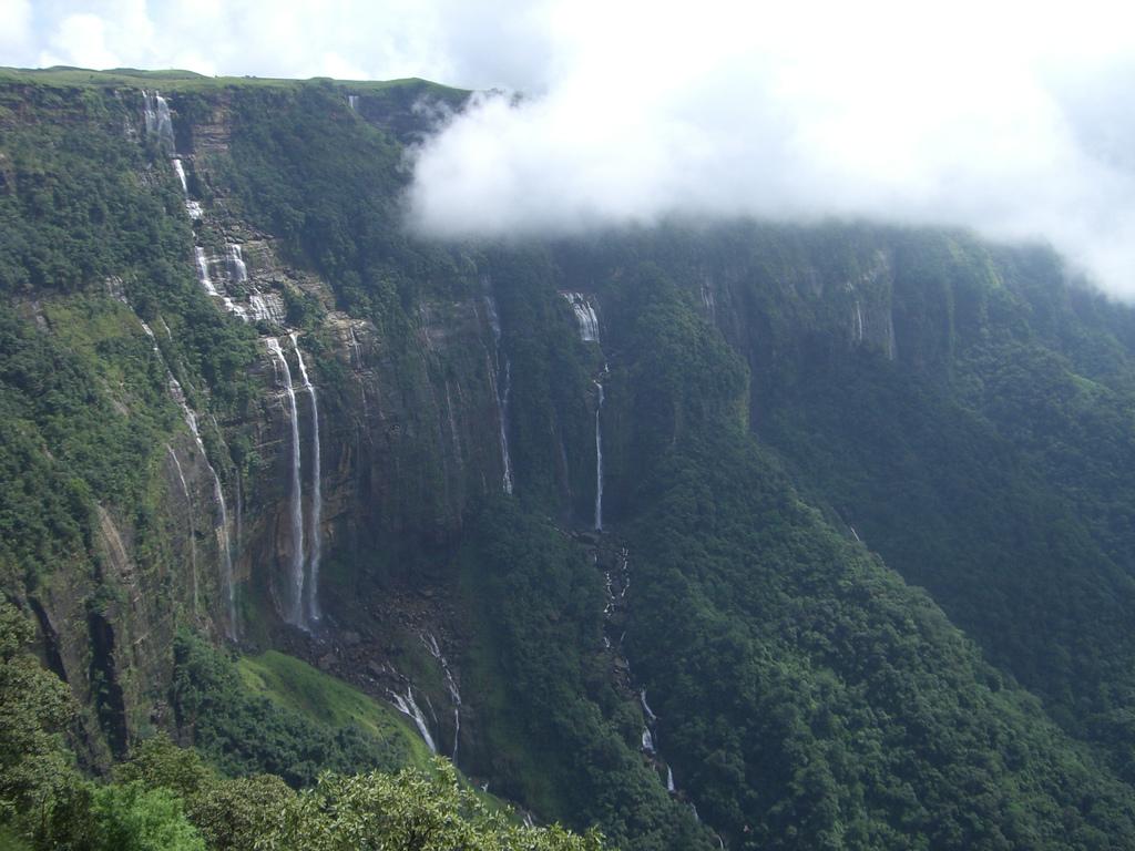 1024x768 Sacred Grove in Meghalaya. Tarumitra's Blog