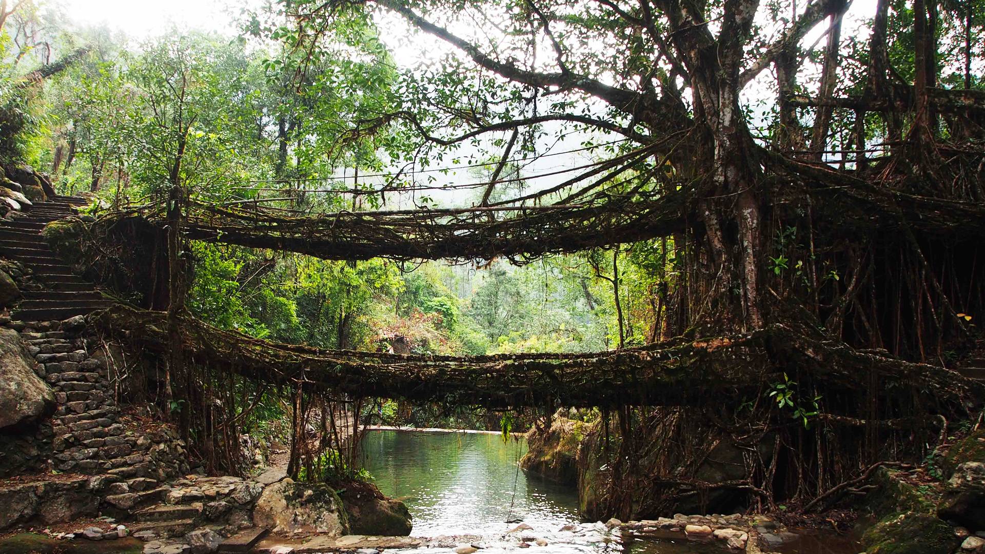 1920x1080 Meghalaya tour packages from kolkata. shillong tour package. Living Root Bridges
