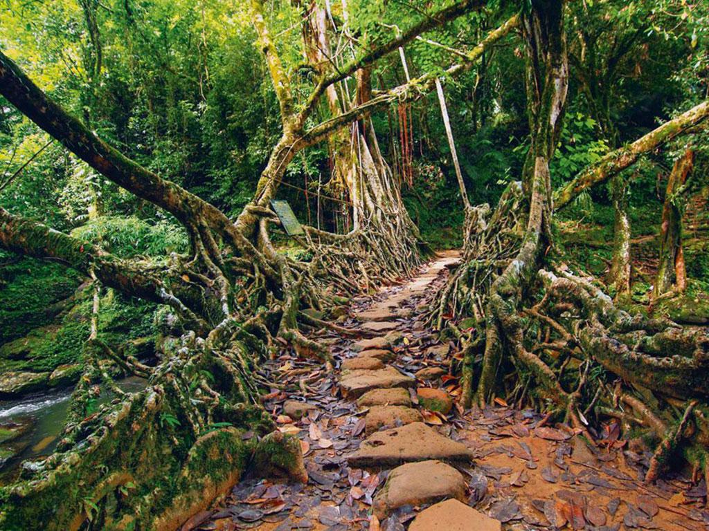 1024x768 Summer Lovin' Itineraries in Meghalaya & Sikkim. Nat Geo Traveller India