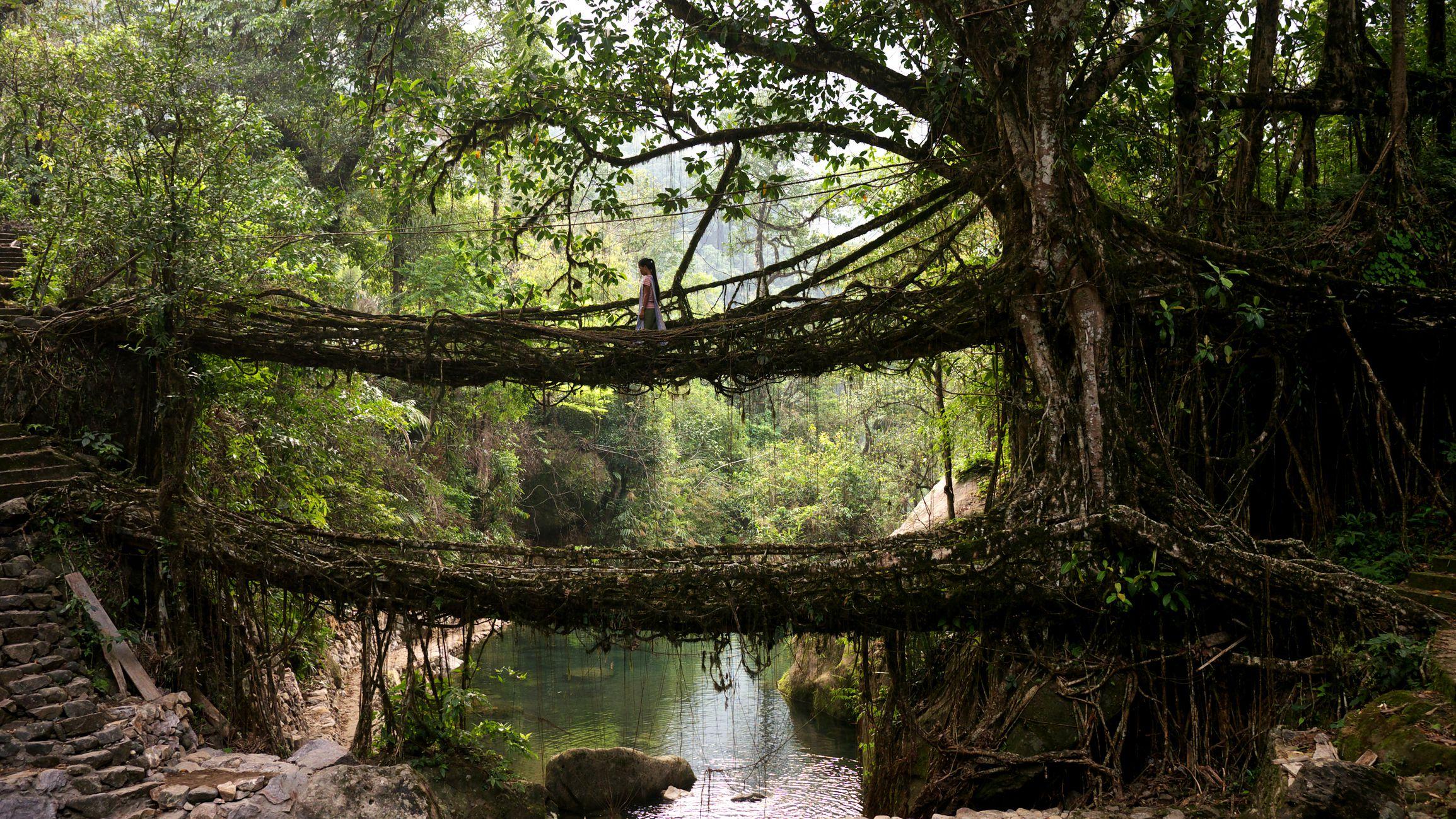2309x1299 Trip To Meghalaya