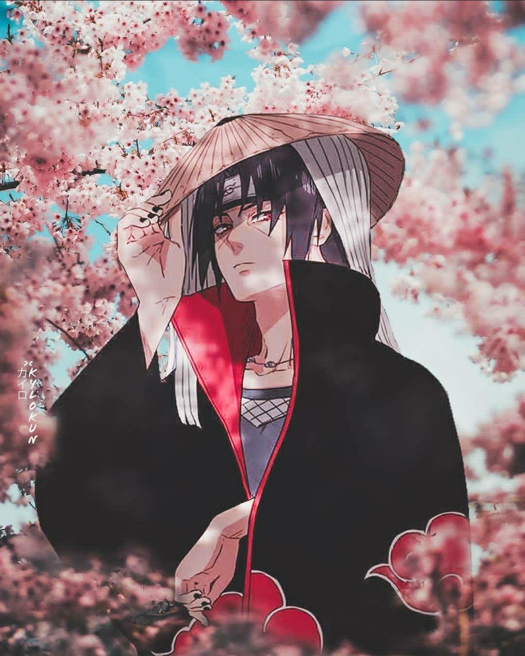 1080x1351 Itachi Cherry Blossom Wallpaper NEWS SITE