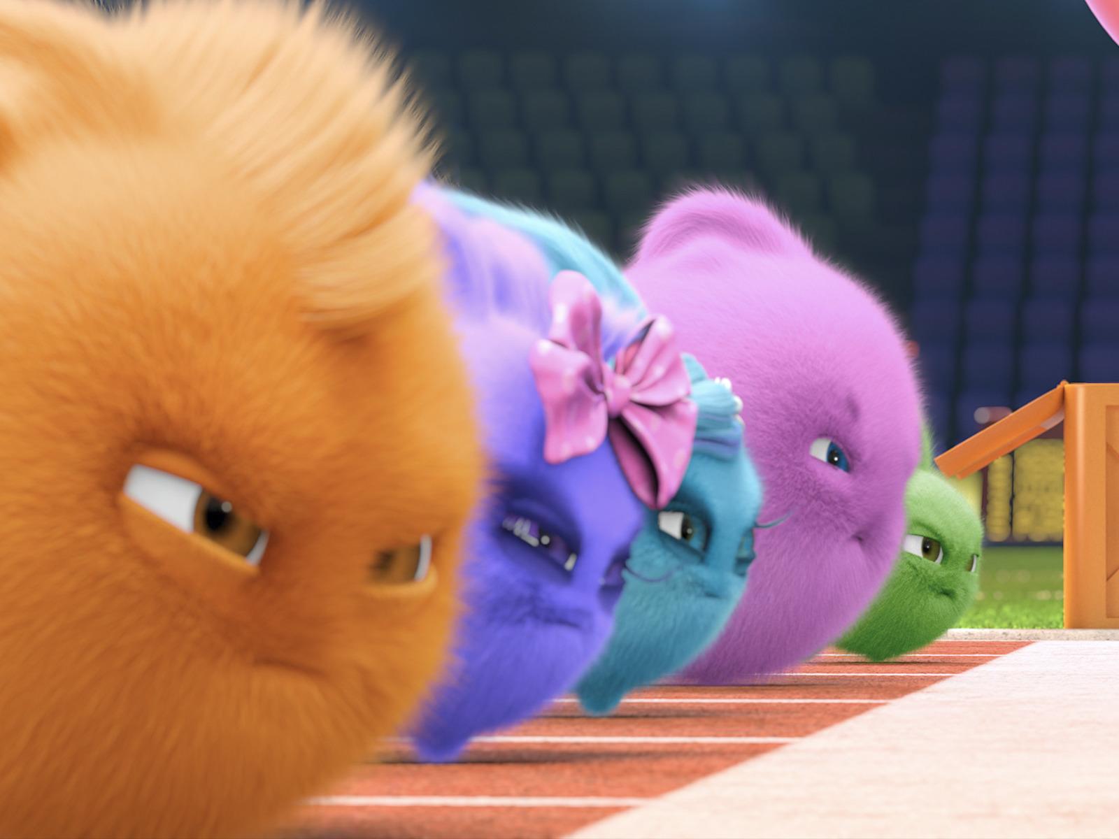 1600x1200 Prime Video: Sunny Bunnies