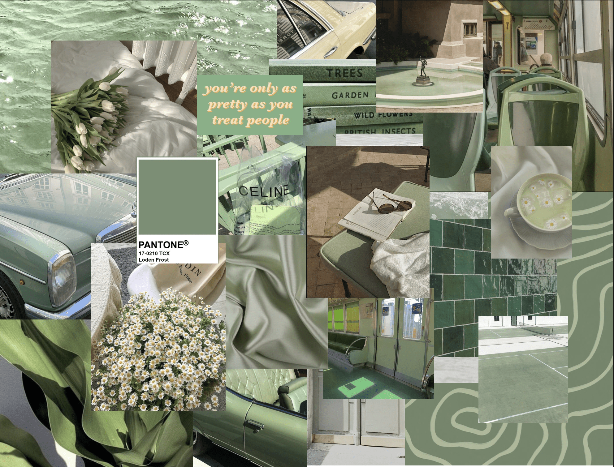 Sage Green Wallpaper Images  Free Download on Freepik