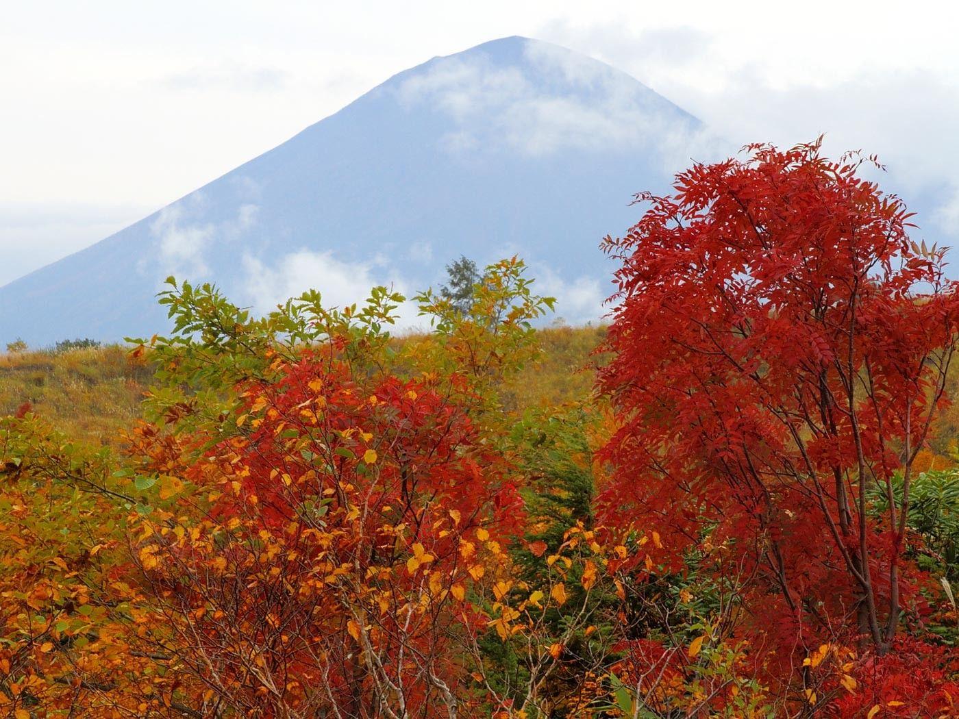 1400x1050 Mountain Field Red Fall Cloud Colour Tree Autumn Trees Colours Asia