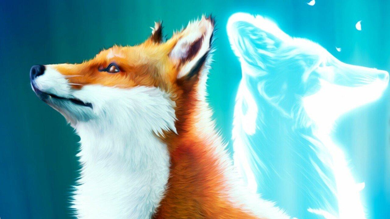 spirit of the north fox