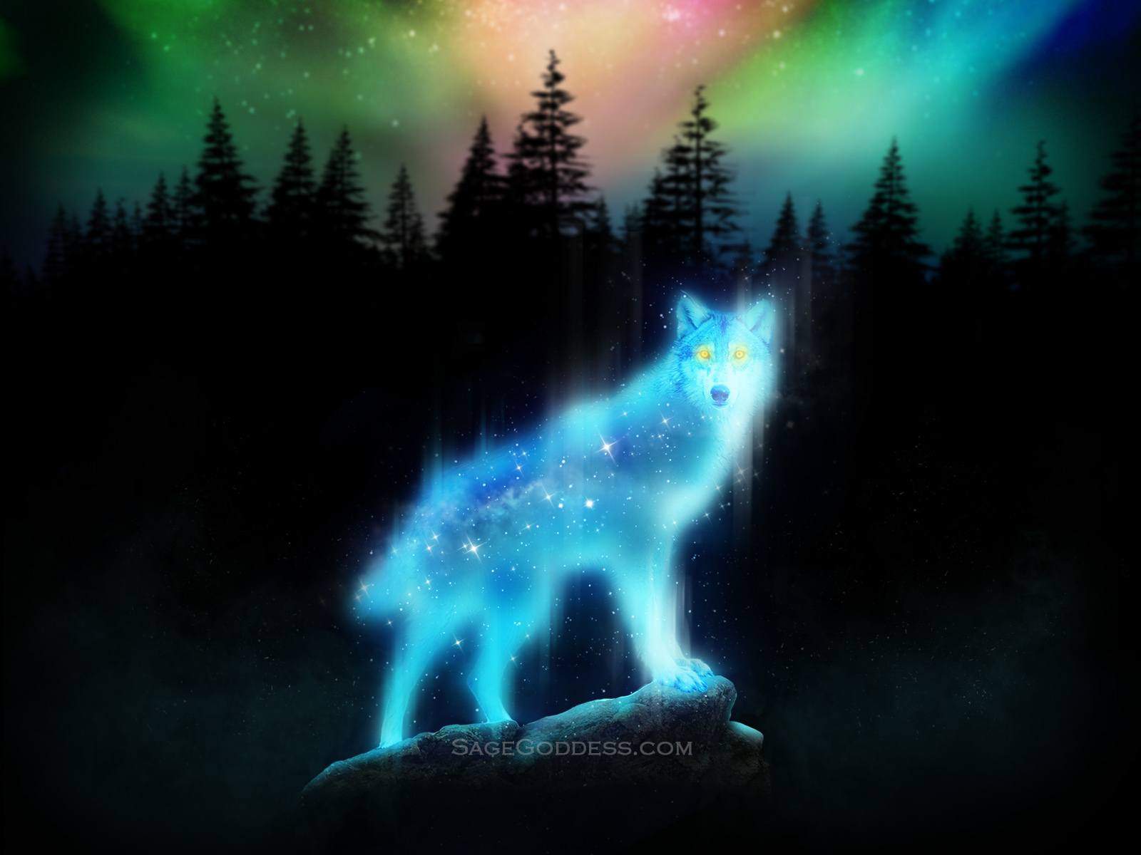 1600x1200 Wolf Spirit Animal Art