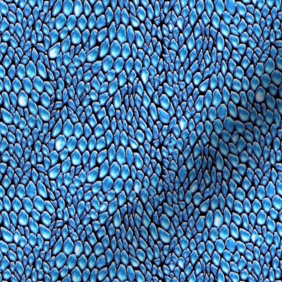 Dragon Scales Wallpapers Top Free Dragon Scales Backgrounds Wallpaperaccess