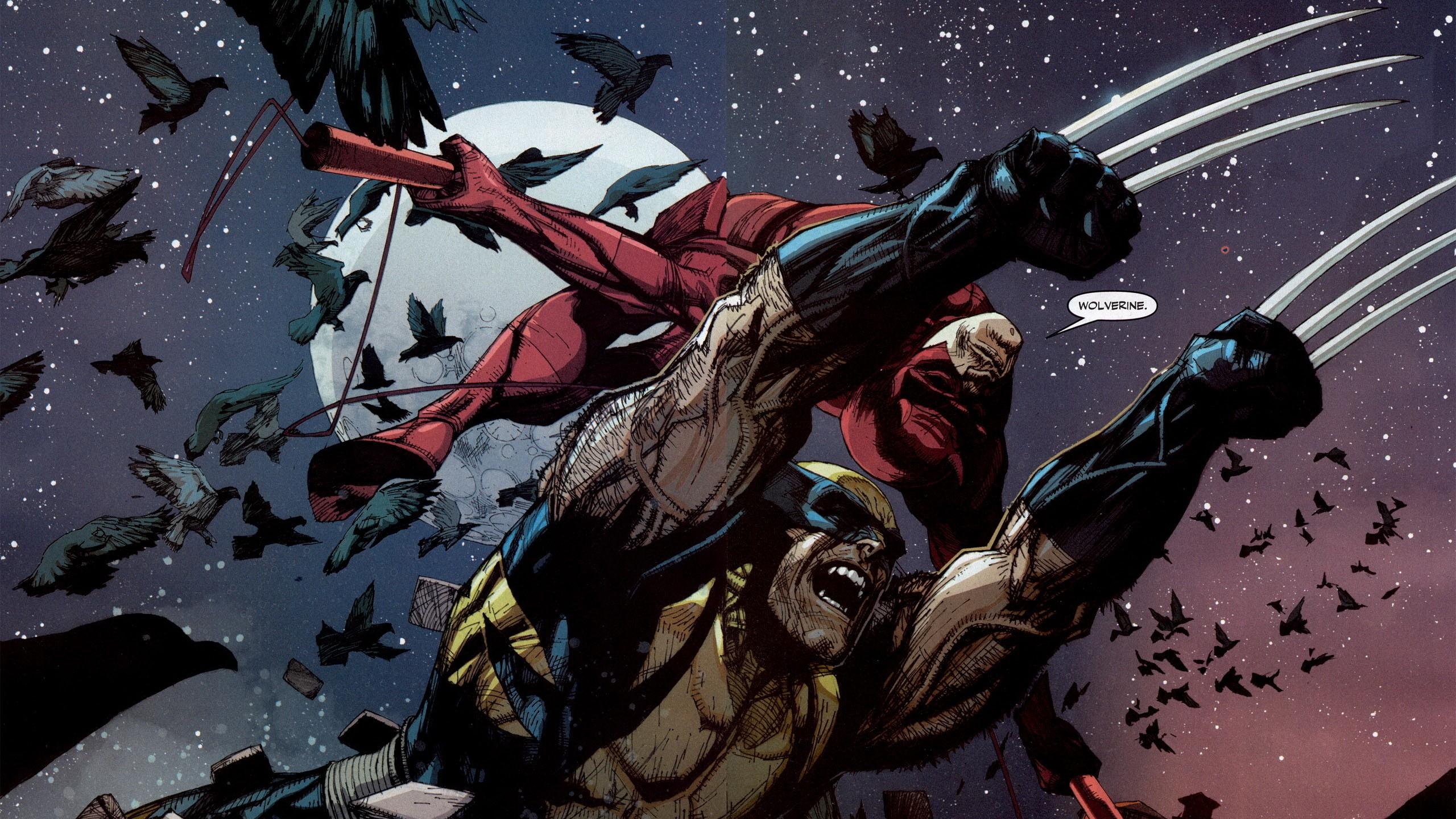 2560x1440 birds, Comics, Wolverine, Daredevil, Artwork, Marvel, Comics Wallpaper HD / Desktop and Mobile Background