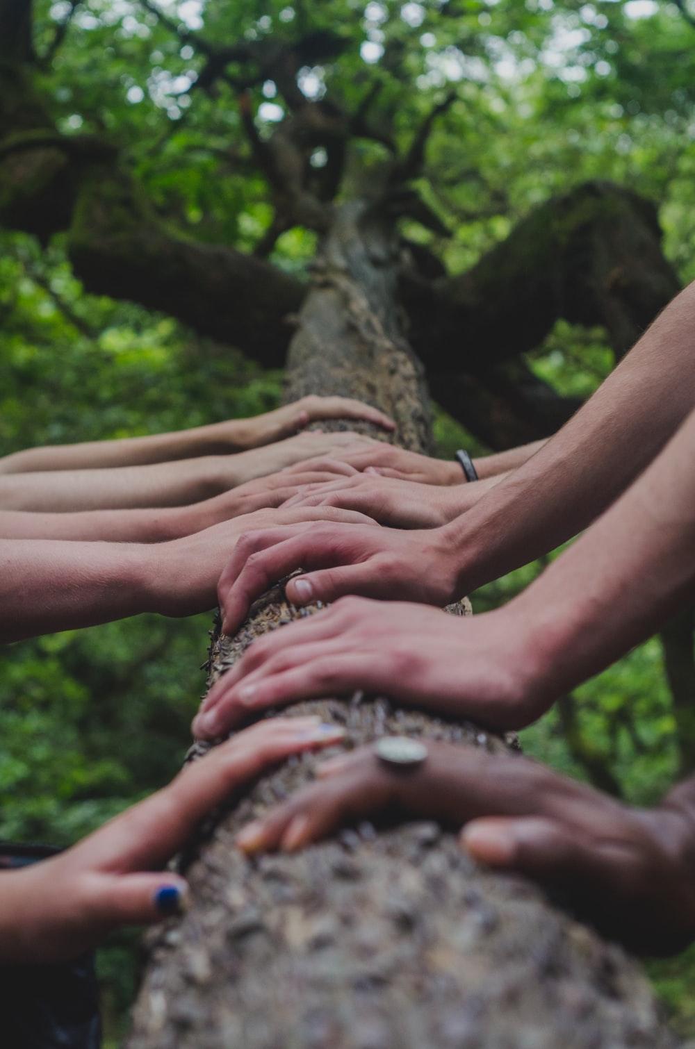 1000x1510 Solidarity Picture. Download Free Image