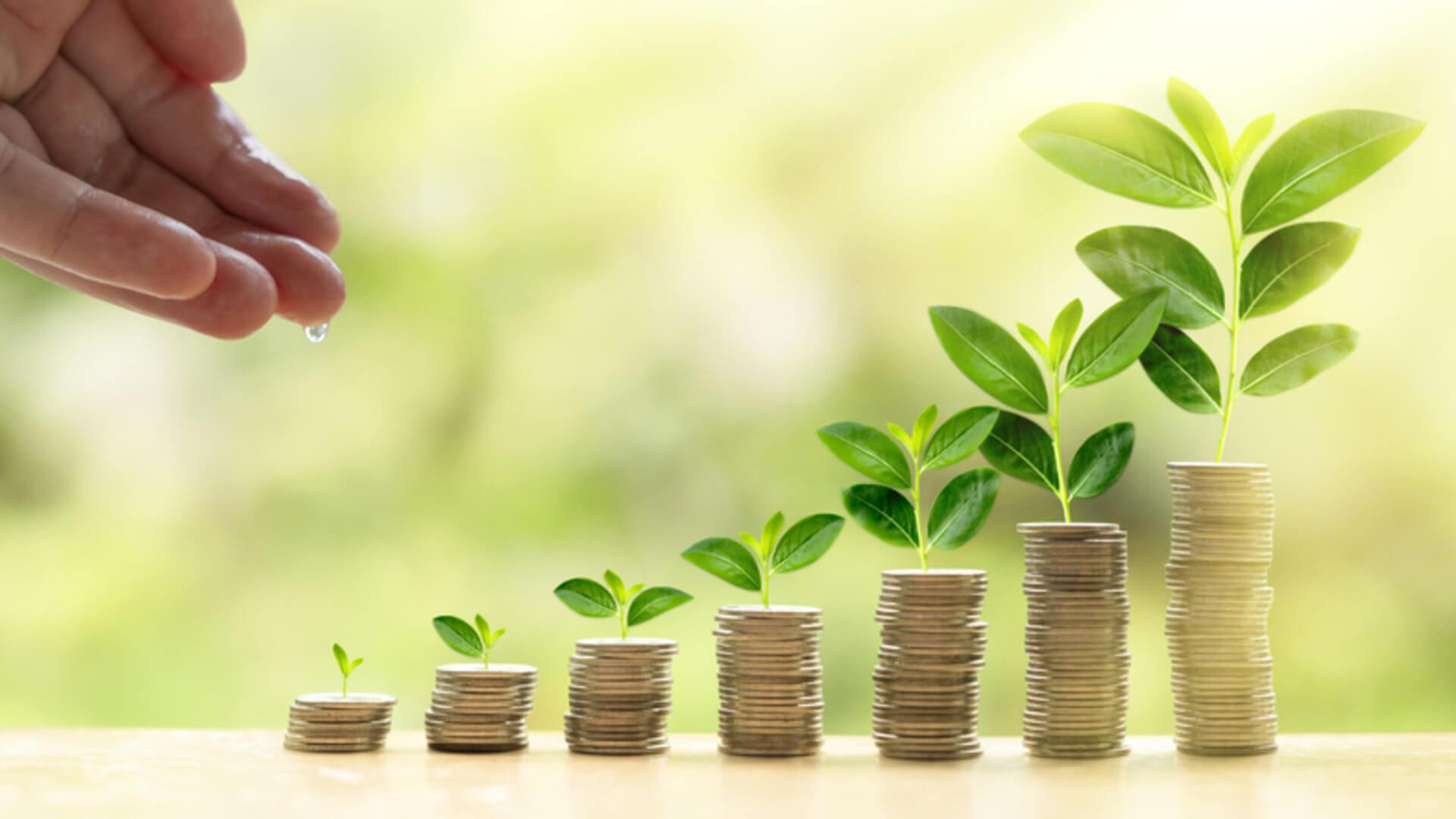 Solidarity Wallpapers - Top Free Solidarity Backgrounds - WallpaperAccess