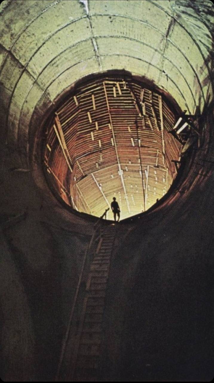 717x1280 Solidarity wallpaper