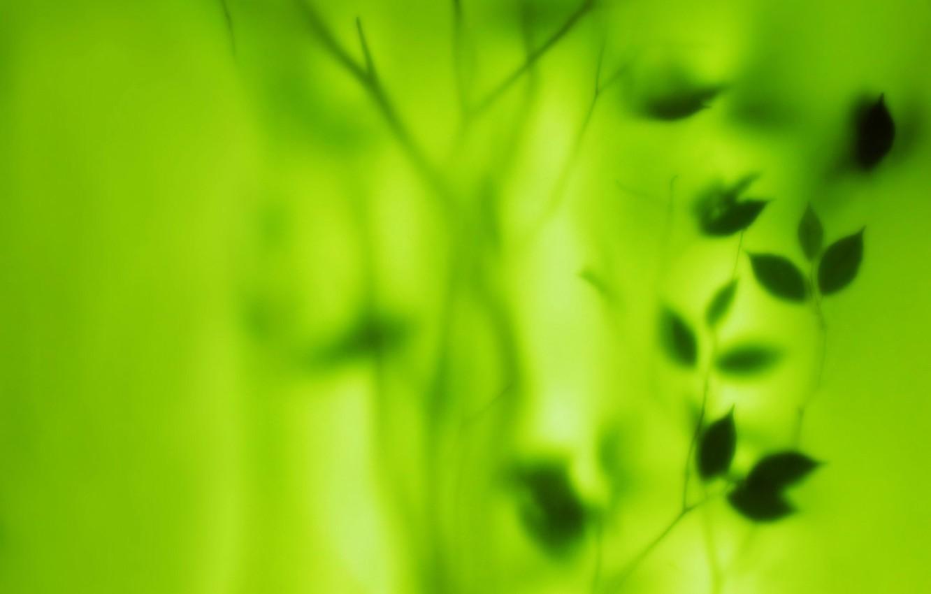 1332x850 Wallpaper greens, leaves, blur image for desktop, section текстуры