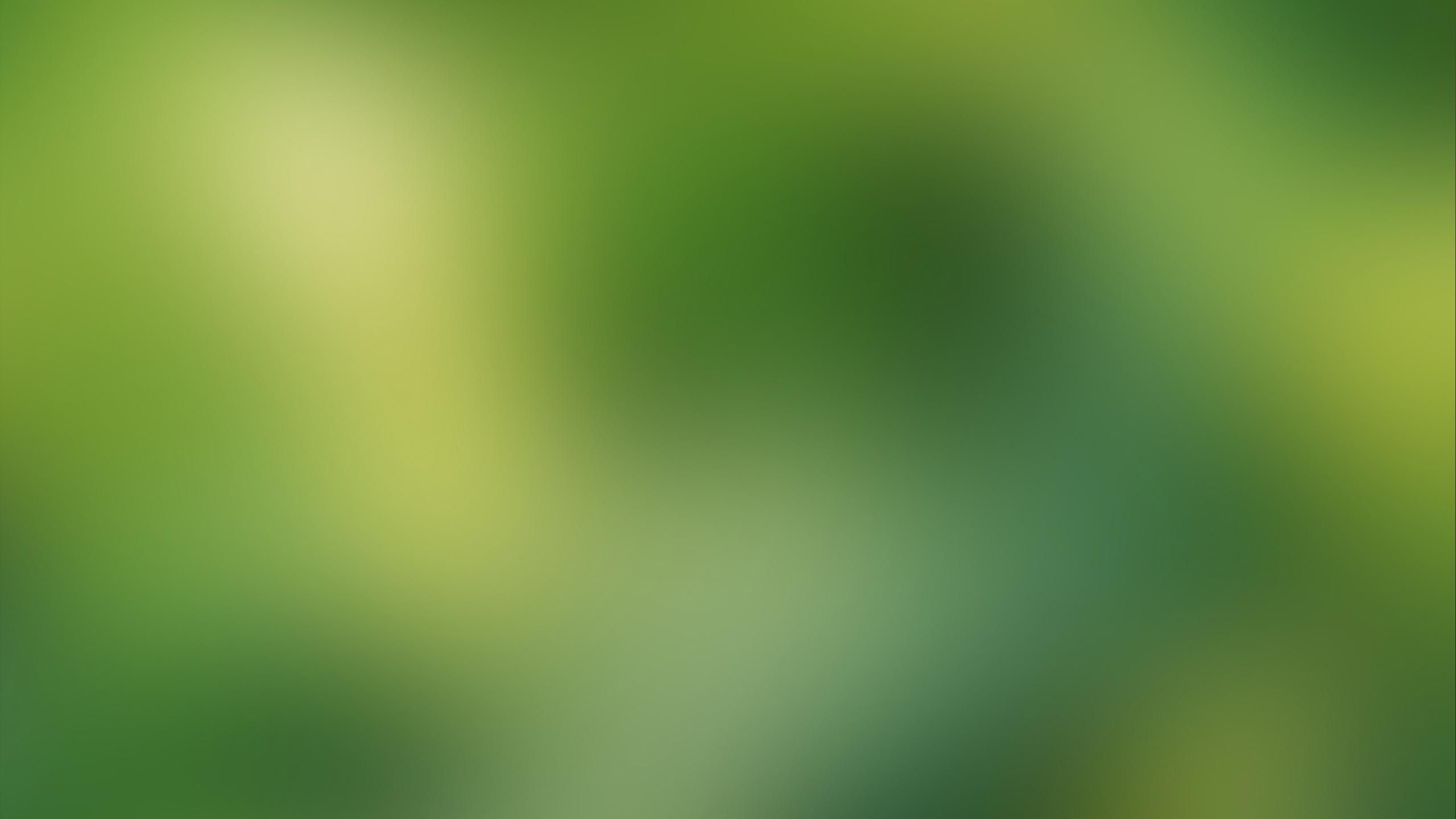 2560x1440 Green Blur desktop PC and Mac wallpaper
