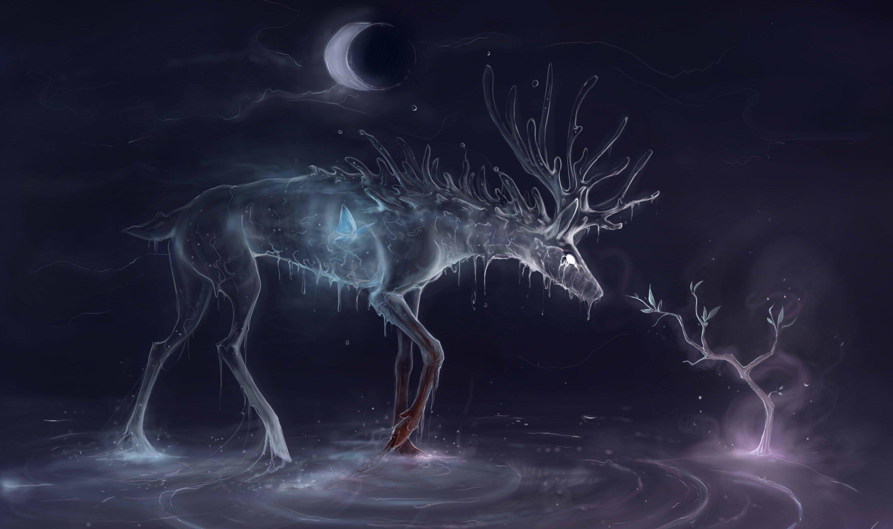 3000x1778 Animal moon 3D winter fantasy wallpaperx1778