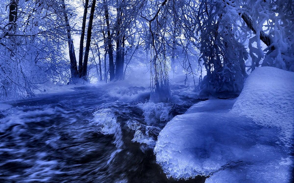 Winter Fantasy Wallpapers - Top Free Winter Fantasy Backgrounds ...