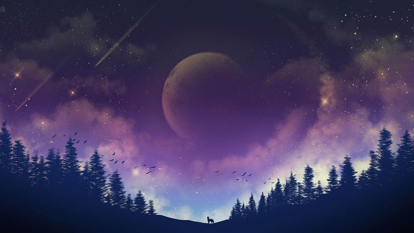 1366x768 Best Desktop Wallpaper Wallpaper Free Download (37)