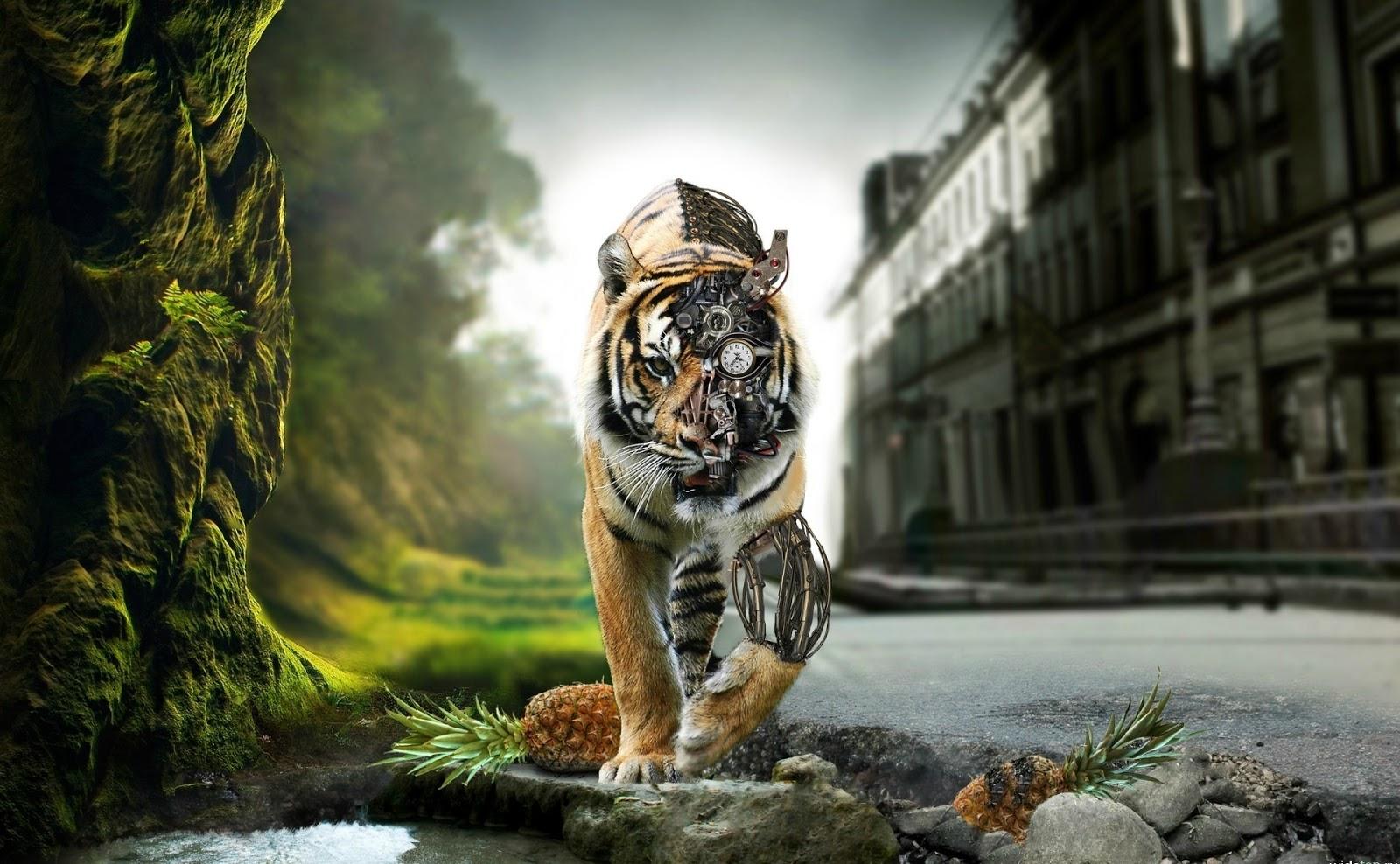 1600x988 HD Best Desktop Wallpaper 1080p (2020)