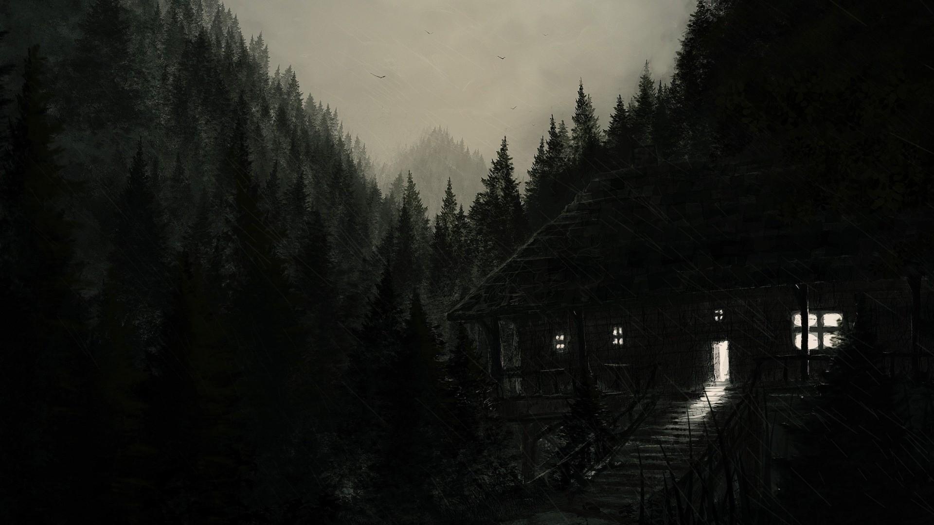 1920x1080 1920x1080 nature landscape trees forest digital art drawing house rain dark hill wallpaper JPG 369 kB. Mocah HD Wallpaper