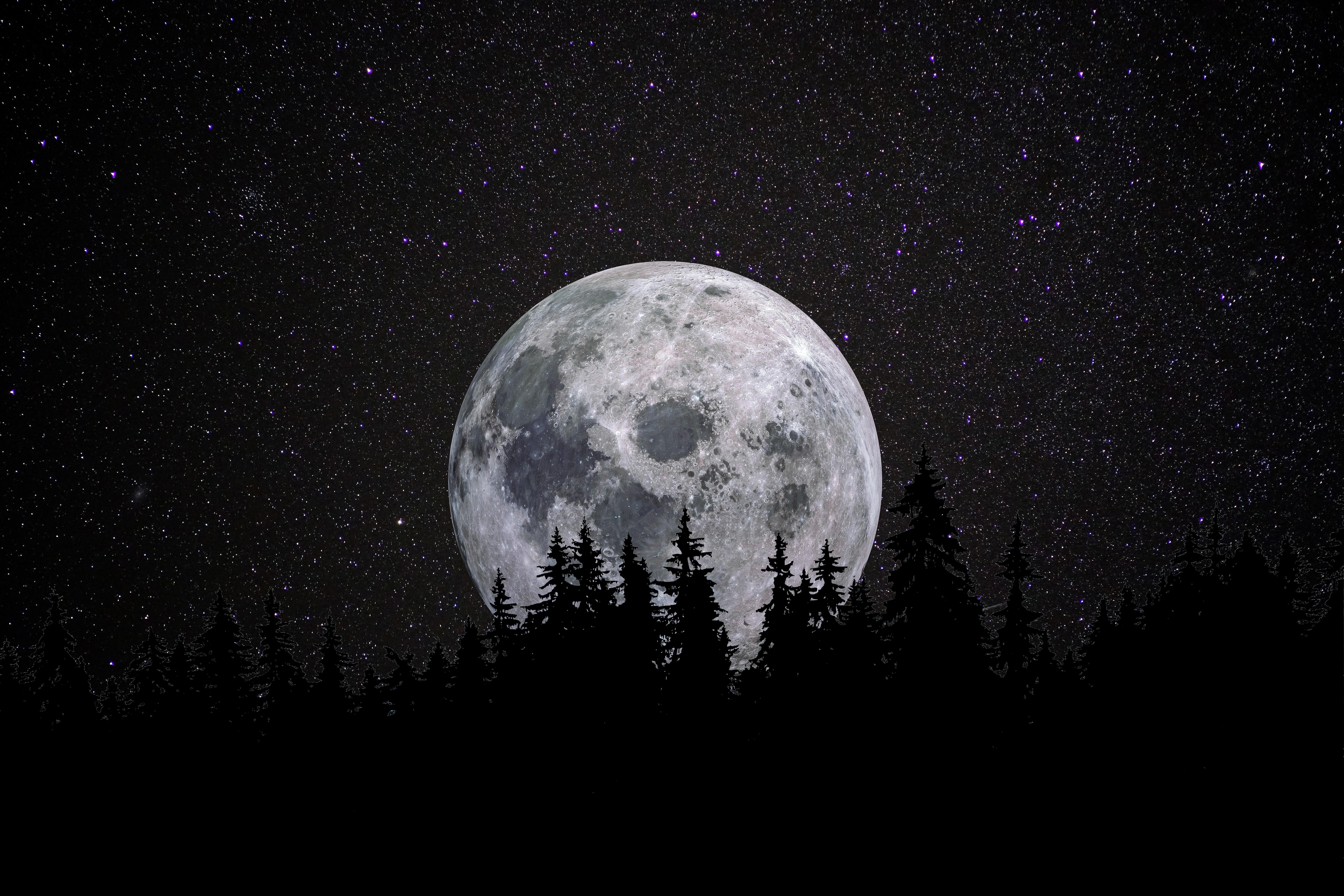 7952x5304 Full moon Wallpaper 4K, Forest, Night, Dark, Starry sky
