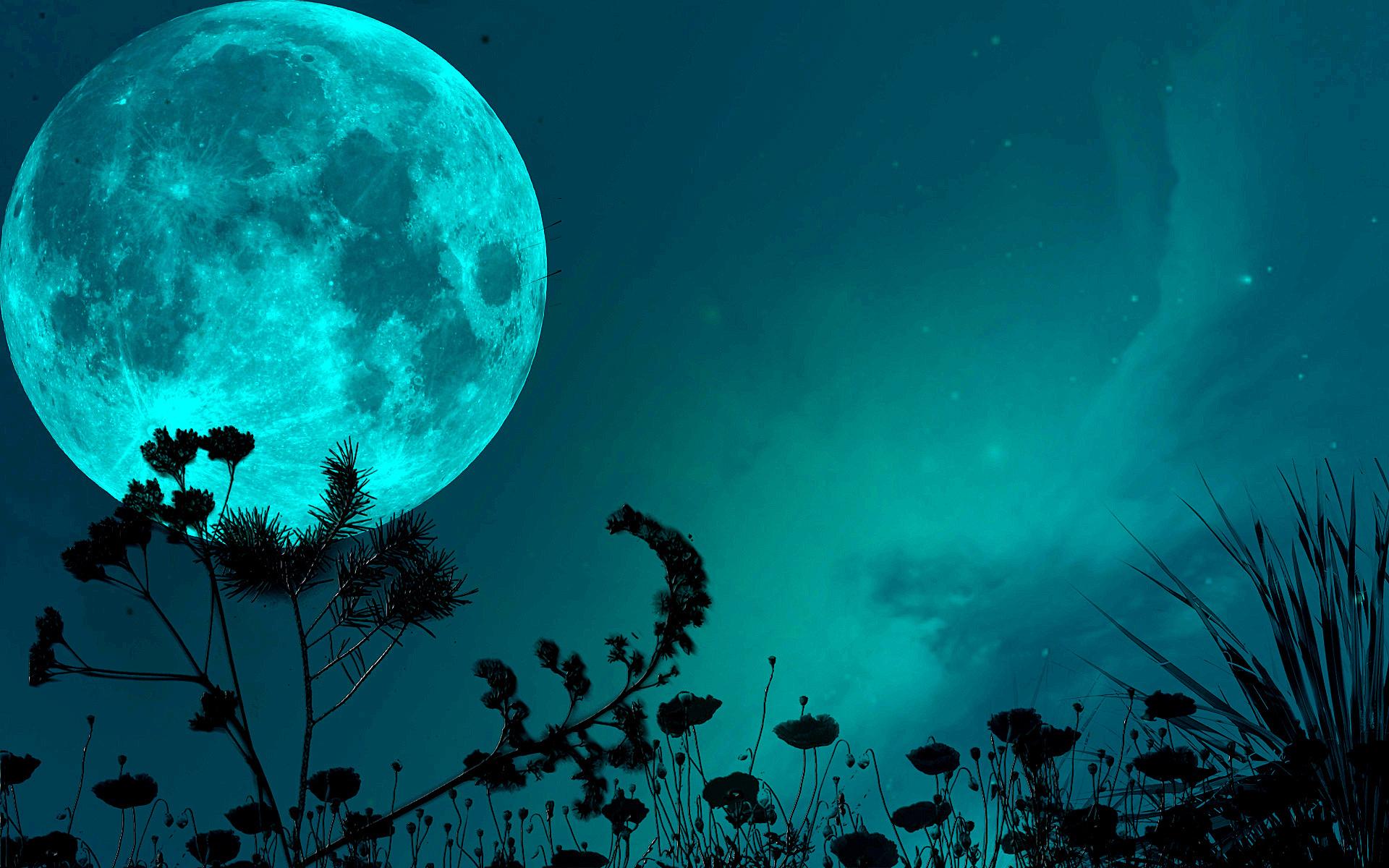 1920x1200 night, Sky, Moon, Shadows, Grass, Blade, Stars Wallpaper HD / Desktop and Mobile Background