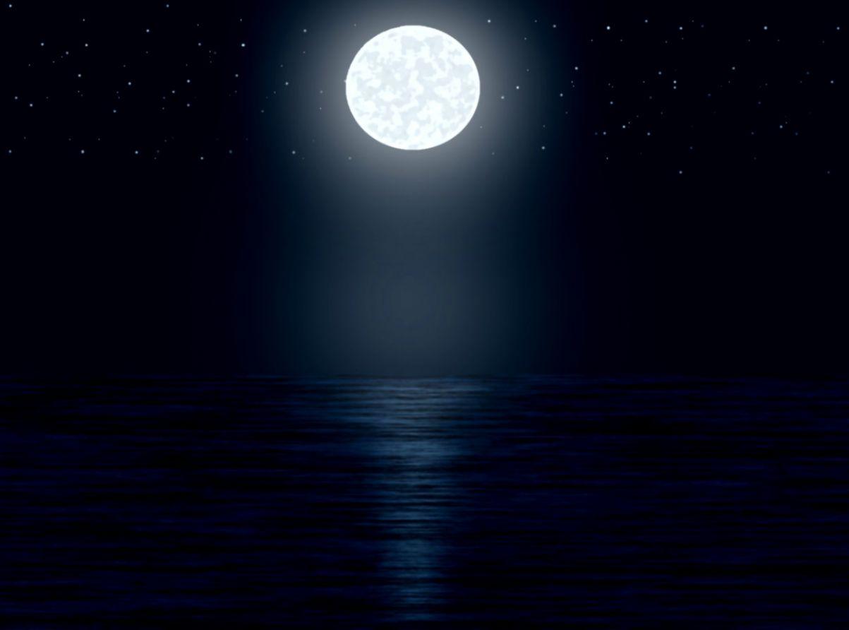 1203x892 Night Moon Wallpaper