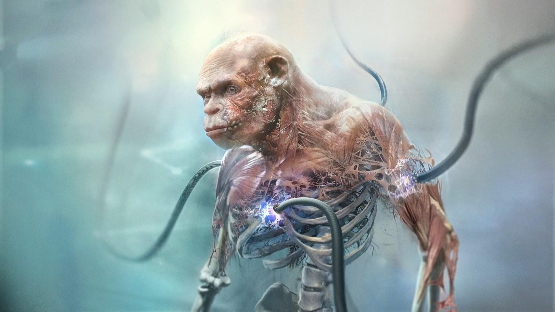 1920x1080 Beyond Good and Evil 2 2019 Wallpaper, HD Games 4K Wallpaper, Image, Photo and Background