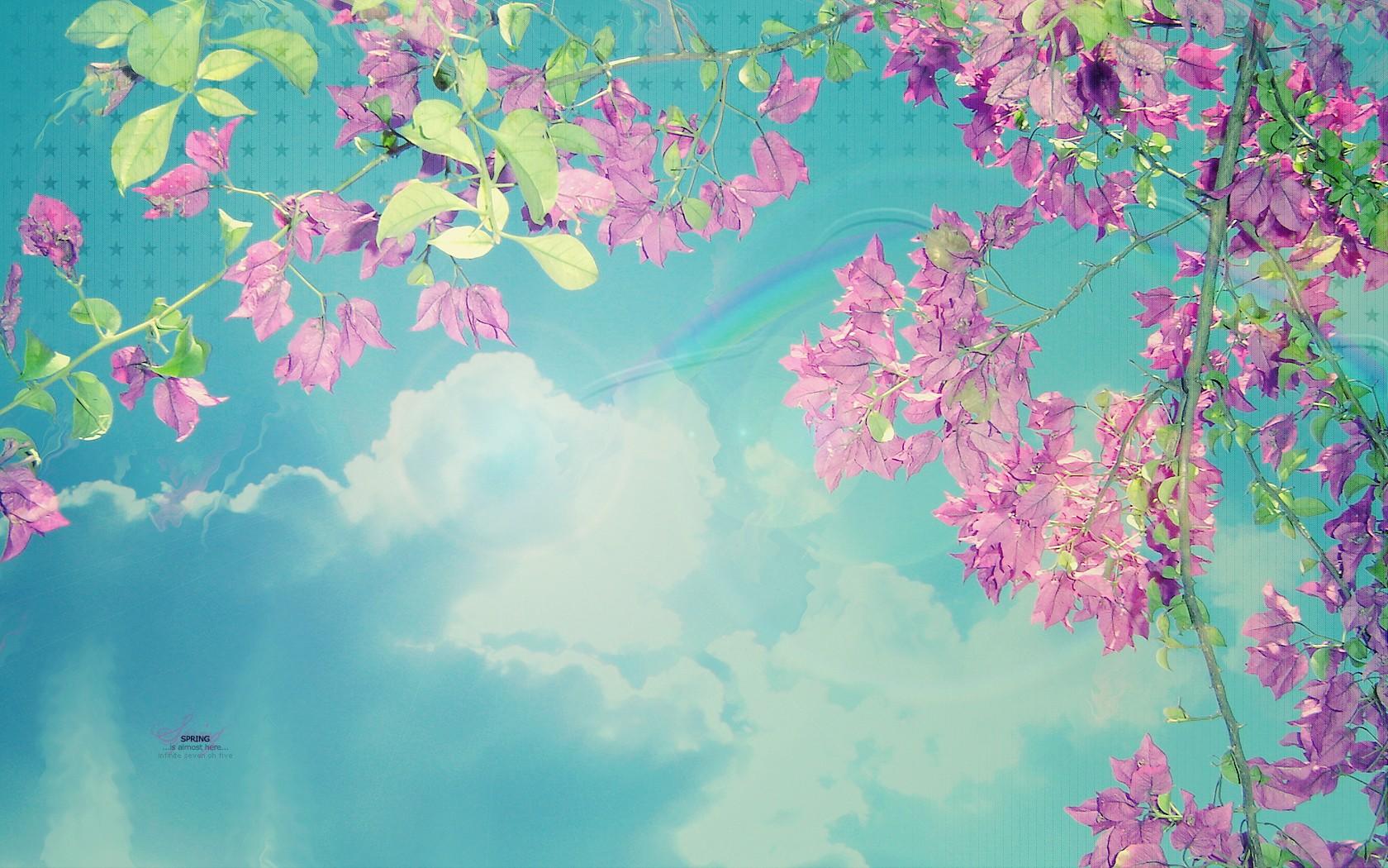 1680x1050 pink and teal wallpaper, pink , green, spring, aqua, pattern, blossom, flower, sky, plant, wallpaper