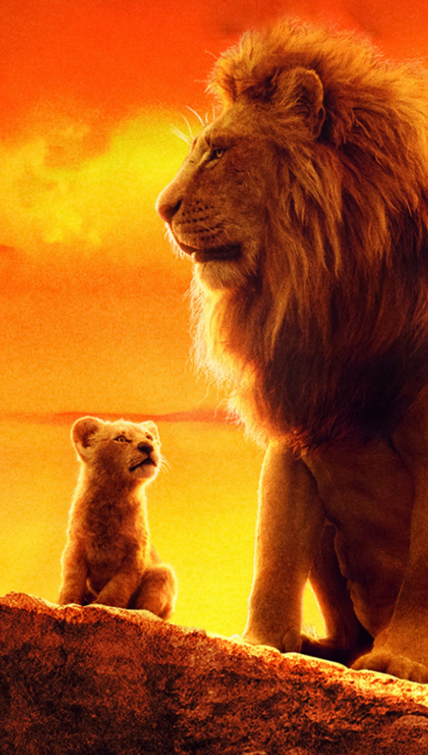 Lion King 4K Ultra HD Wallpapers Top Free Lion King 4K Ultra HD