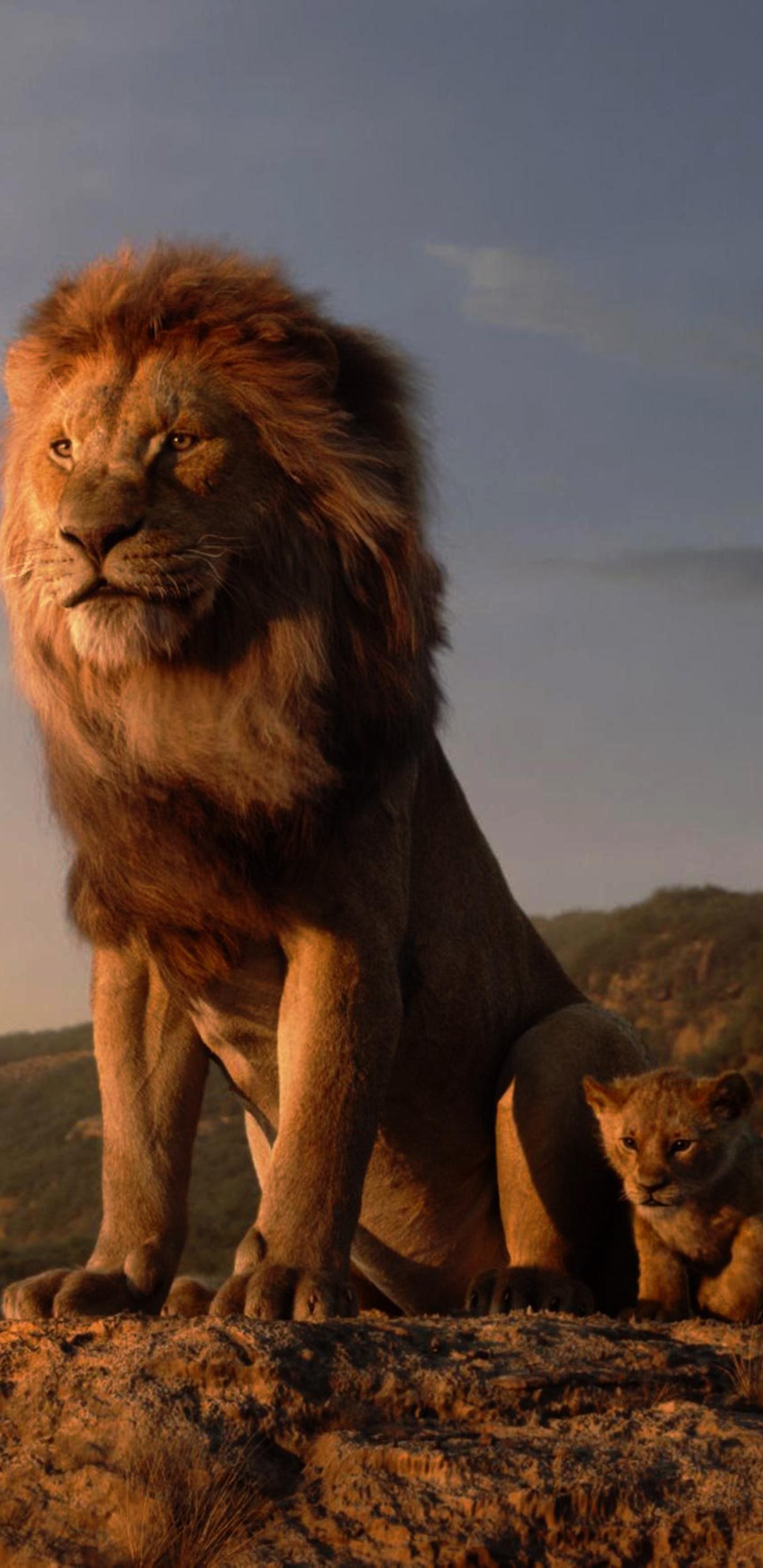 1440x2960 The Lion King 4k Samsung Galaxy Note S S SQHD HD 4k Wallpaper, Image, Background, Photo and Picture