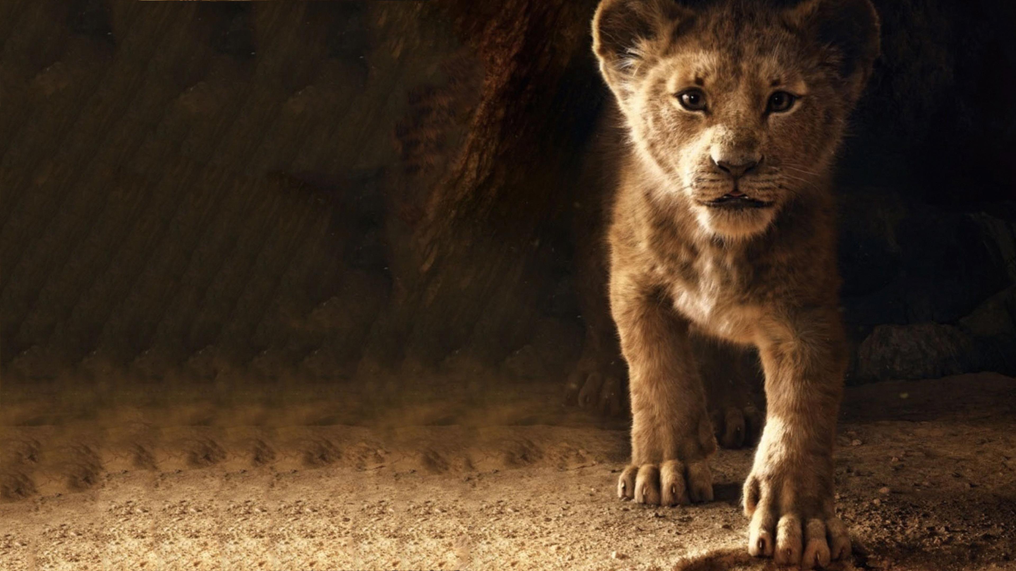 3840x2160 Wallpaper 4k The Lion King Simba 2019 Wallpaper