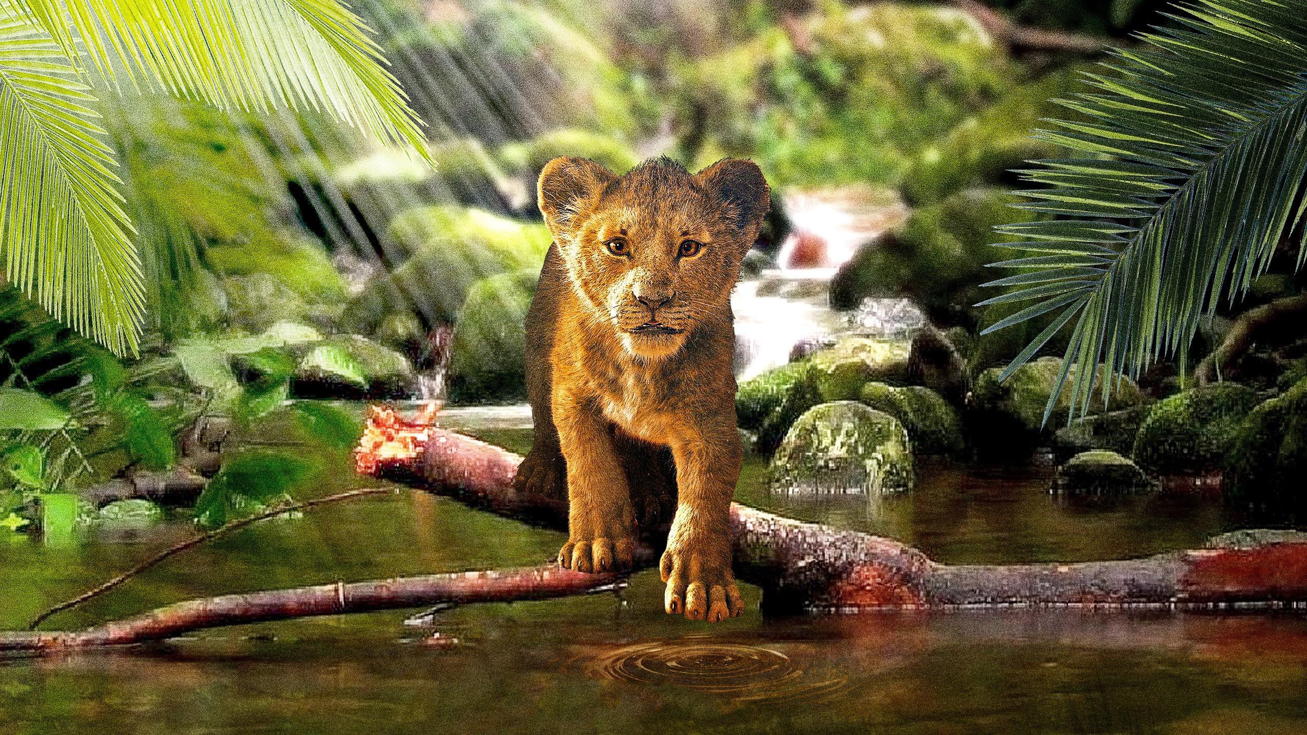 2550x1434 Lion King Simba Wallpaper 4k HD Wallpaper