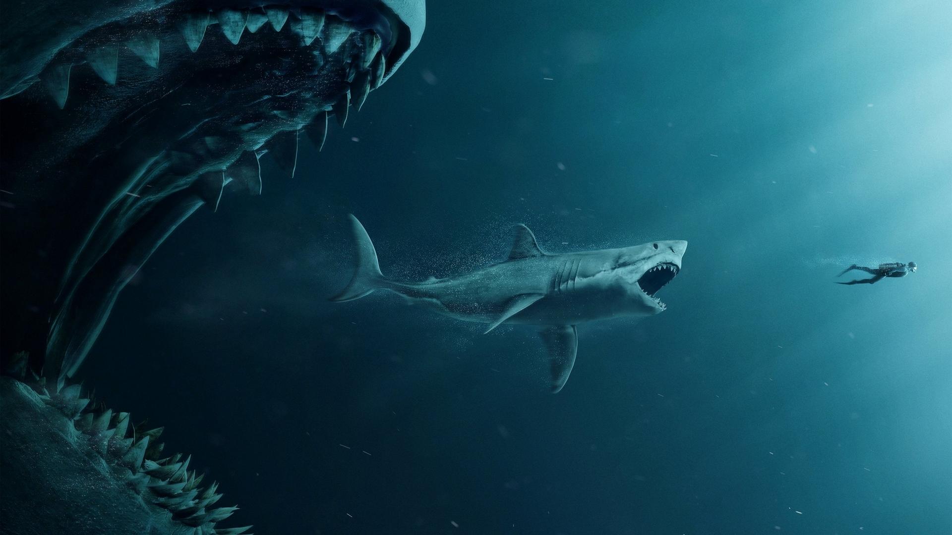 1920x1080 shark HD wallpaper, background