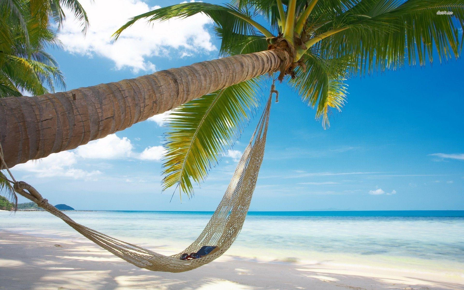 Beach Hammock Wallpapers Top Free Beach Hammock Backgrounds Wallpaperaccess