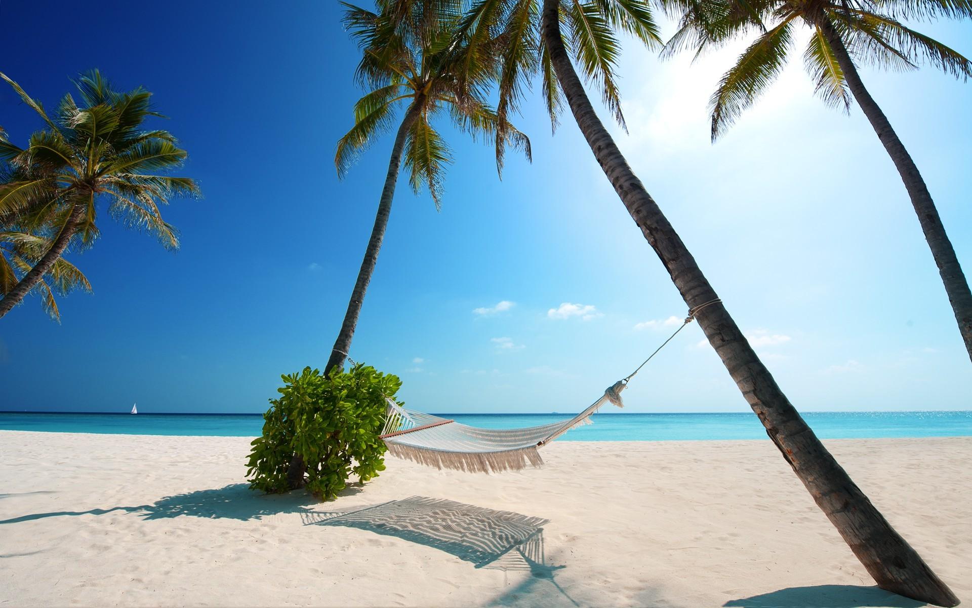 1920x1200 nature, Landscape, Hammocks, Beach, White, Sand, Palm Trees, Sea, Blue, Sky, Maldives, Sunlight, Tropical, Summer Wallpaper HD / Desktop and Mobile Background
