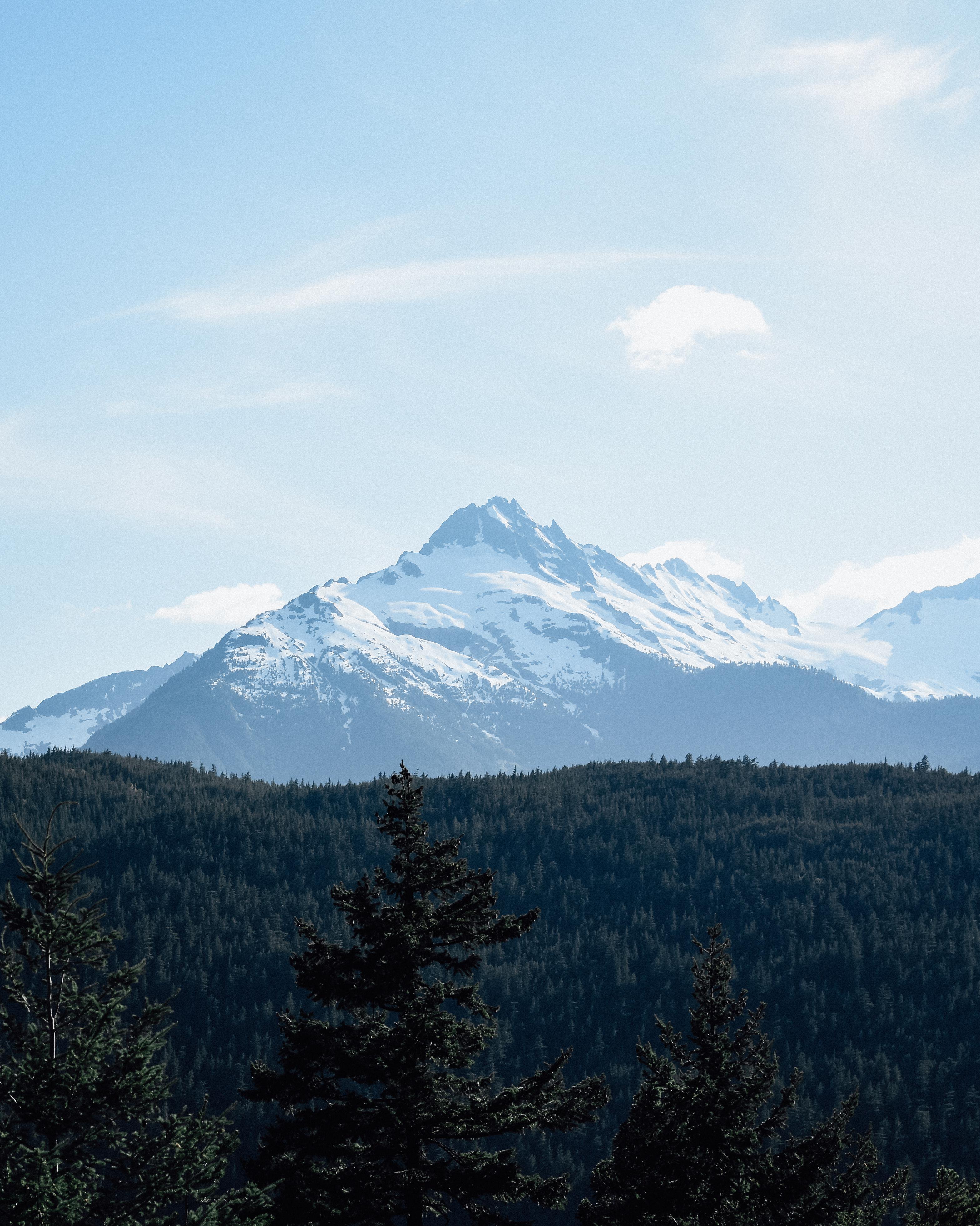 3138x3923 Vancouver 4K wallpaper for your desktop or mobile screen free and easy to download