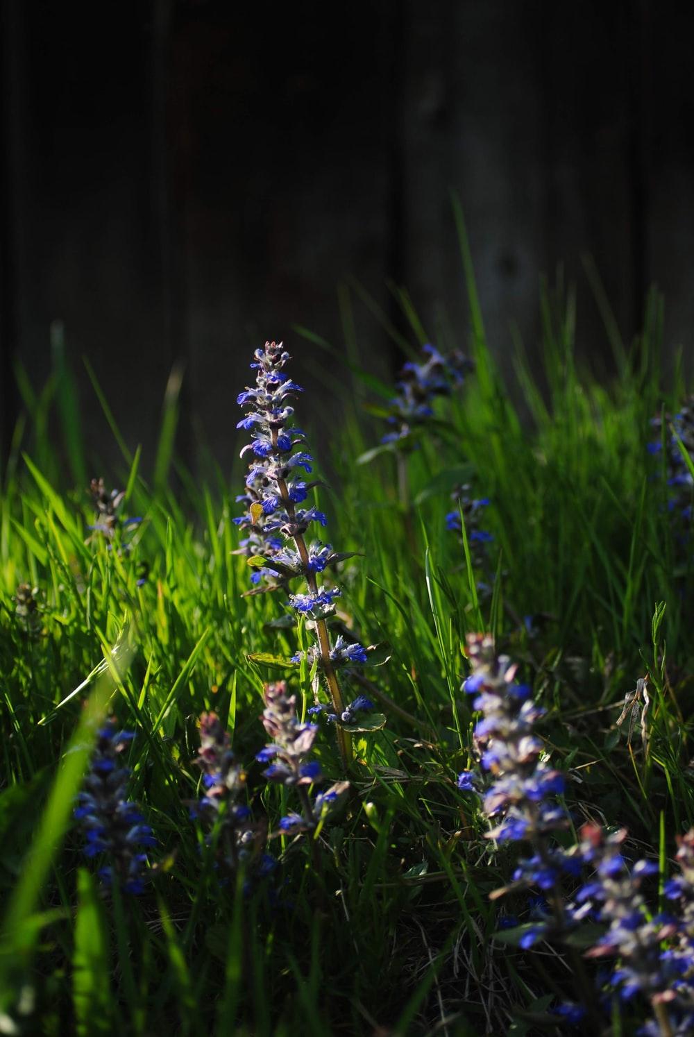 1000x1494 Full Screen Wallpaper Picture. Download Free Image
